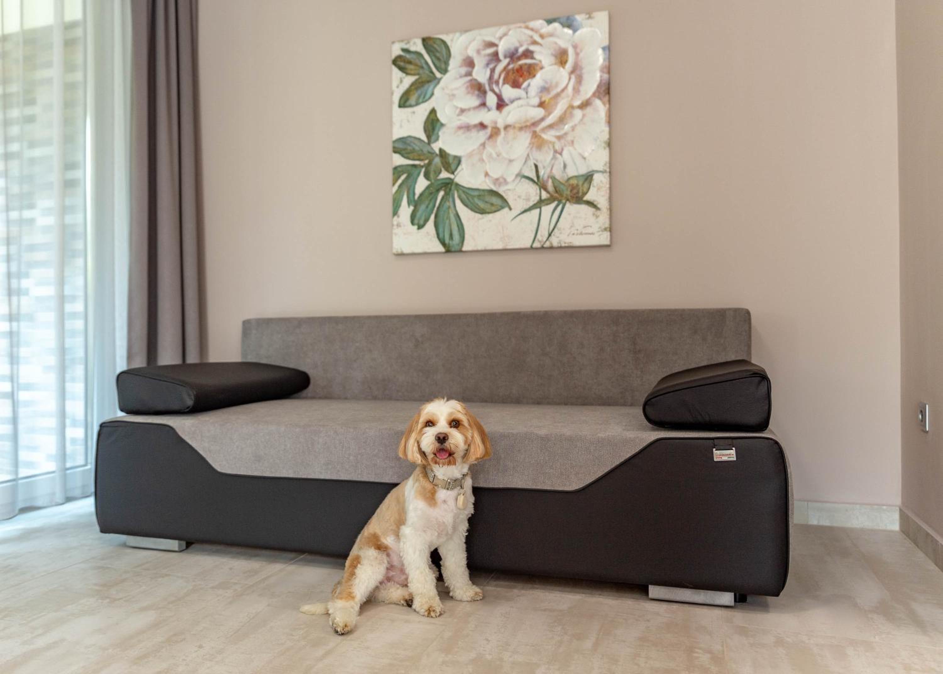Deluxe Family Room - Annex - Pillich Kalman 29. photo 3