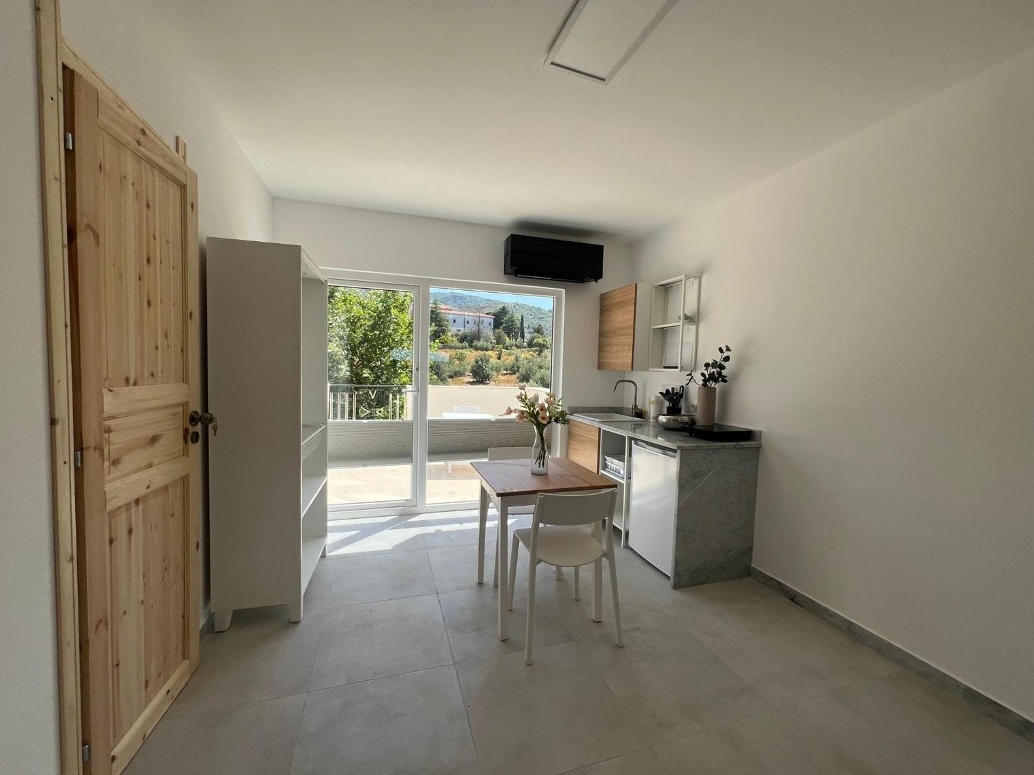 Studio with Terrace photo 3
