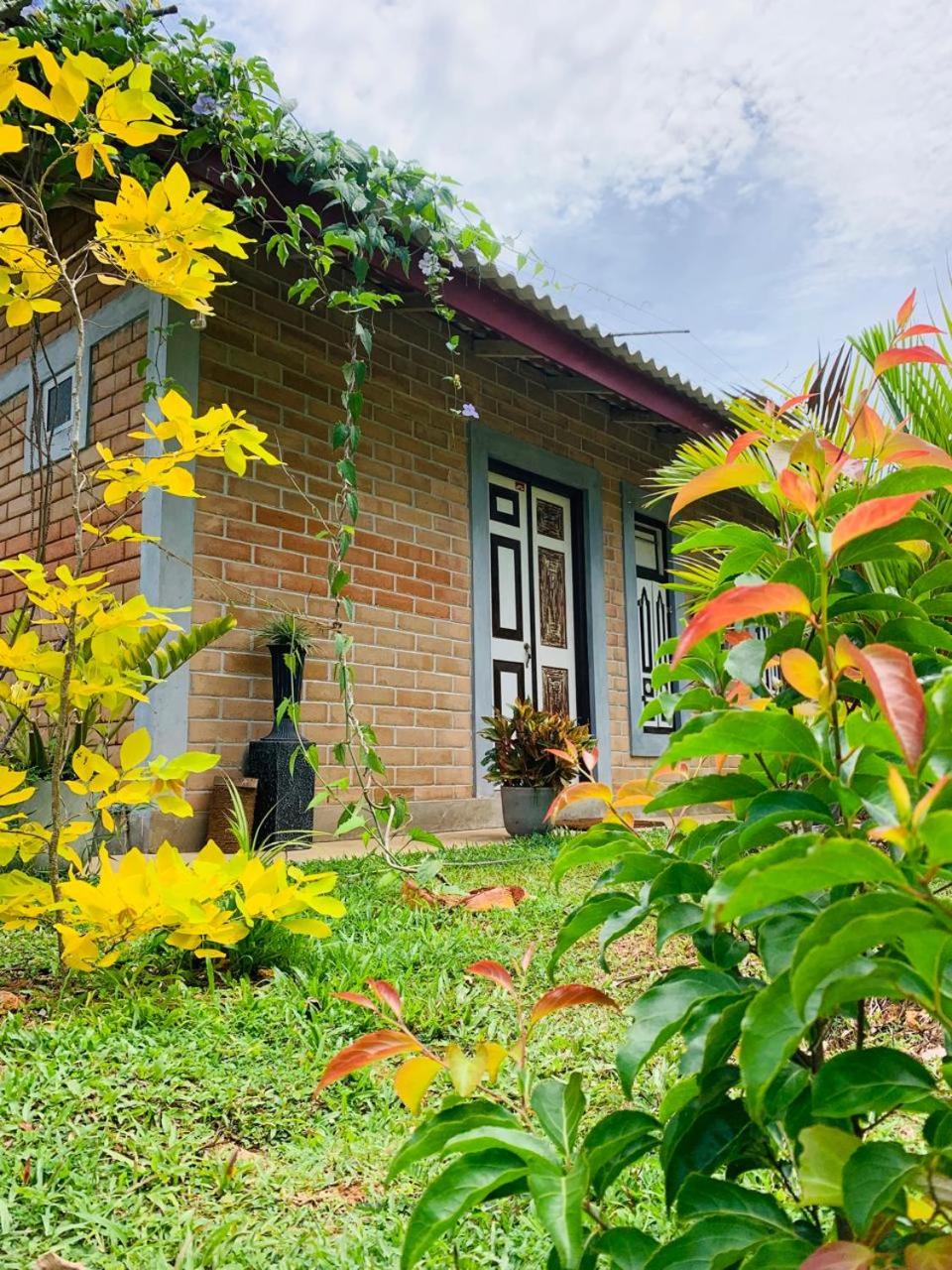 Double Room with Garden View photo 1