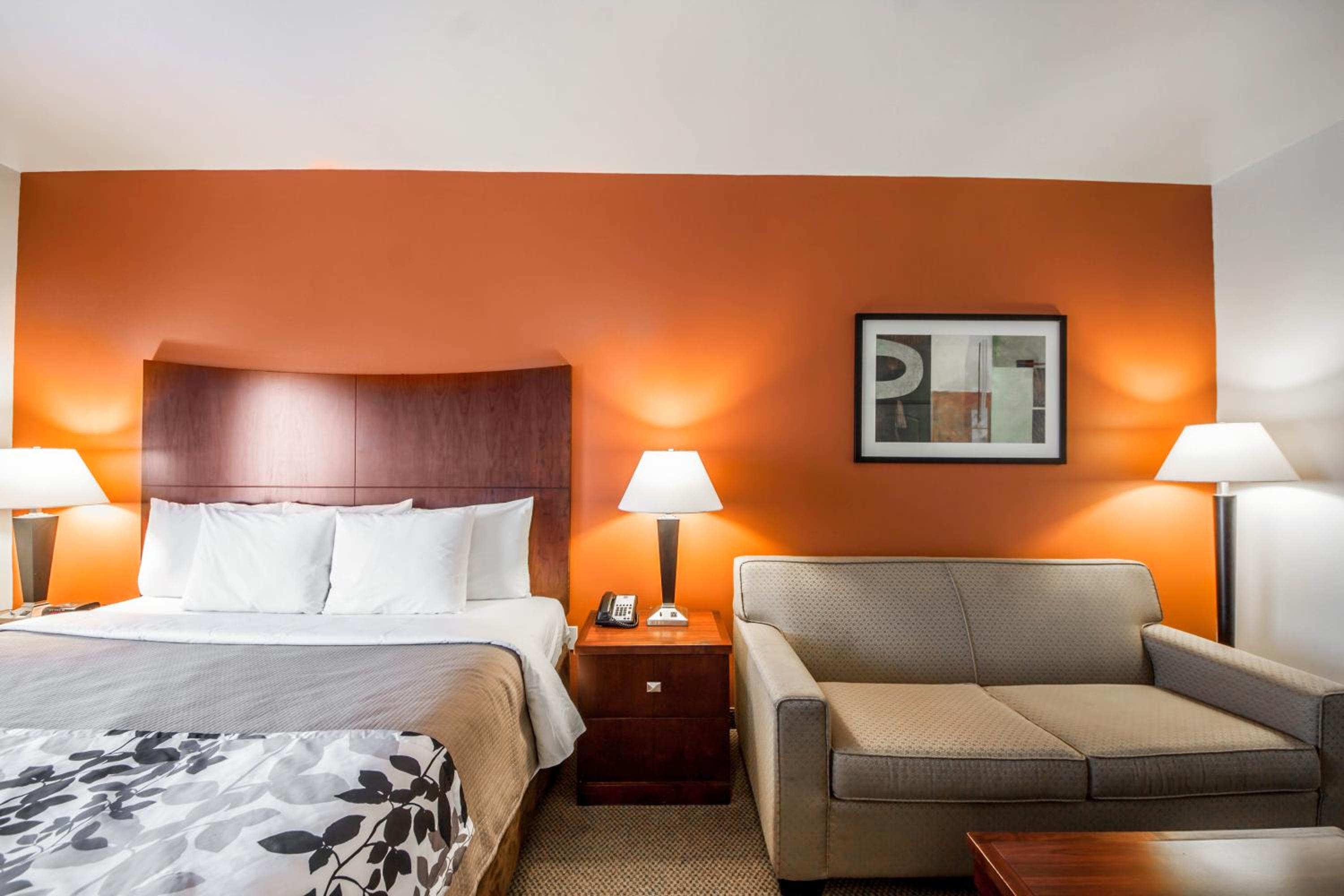 King Suite - Non-Smoking - Photo 4