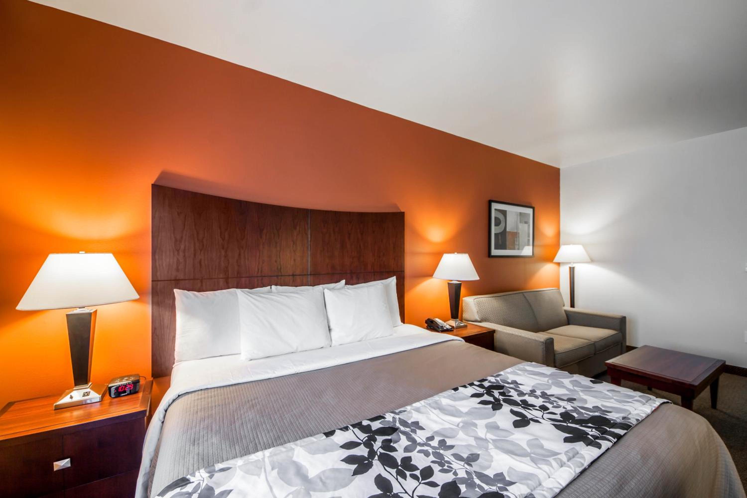 King Suite - Non-Smoking - Photo 6