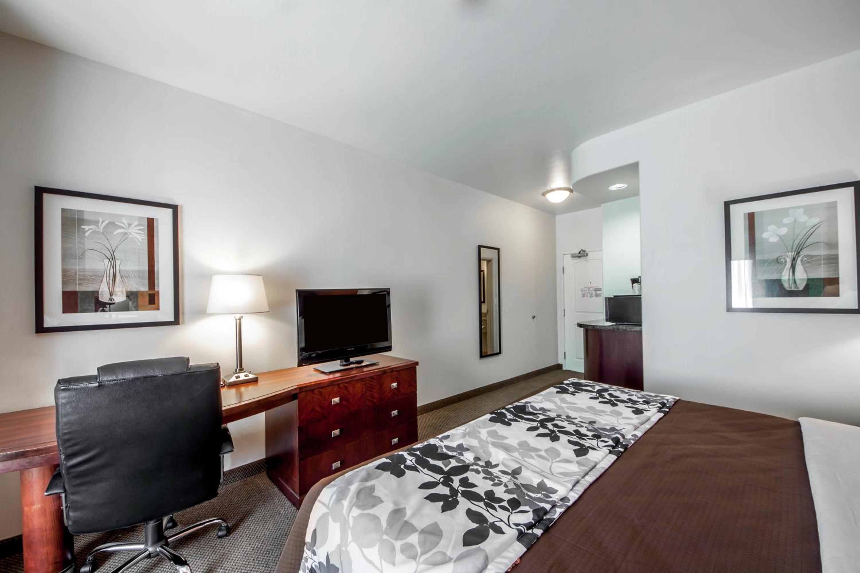 King Room - Non-Smoking - Photo 6