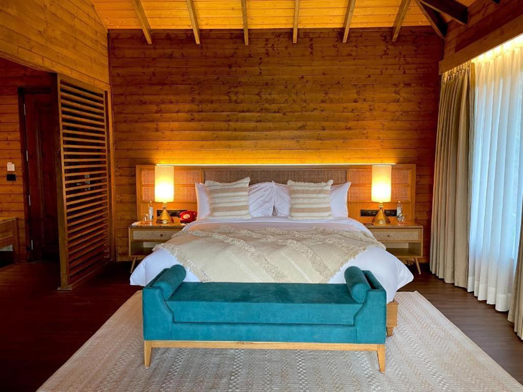 Premier room with private terrace photo