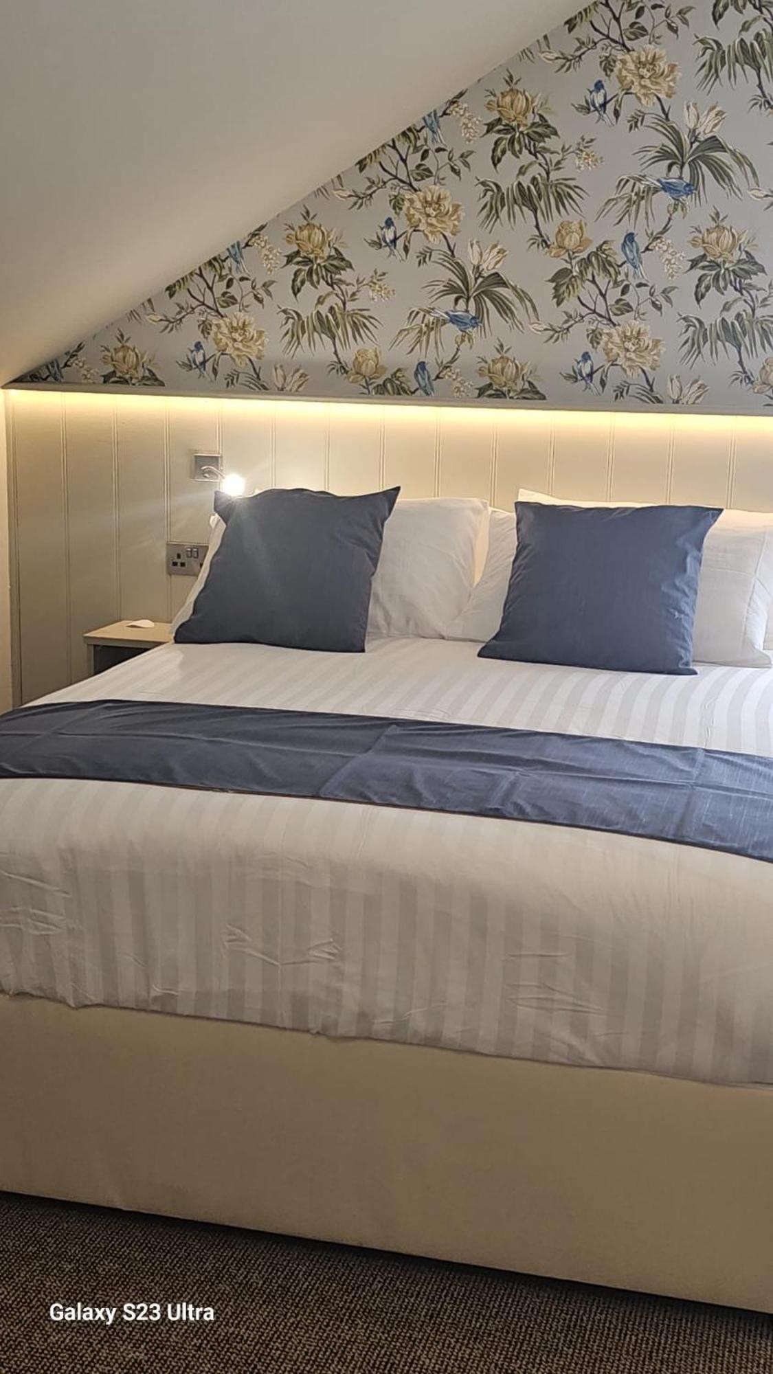 King Room photo 2