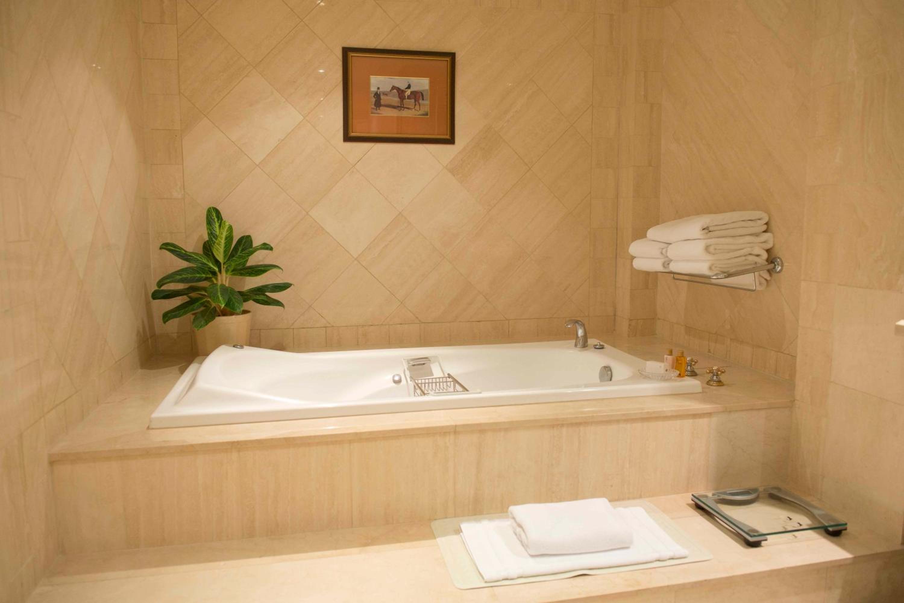 Presidential King Suite