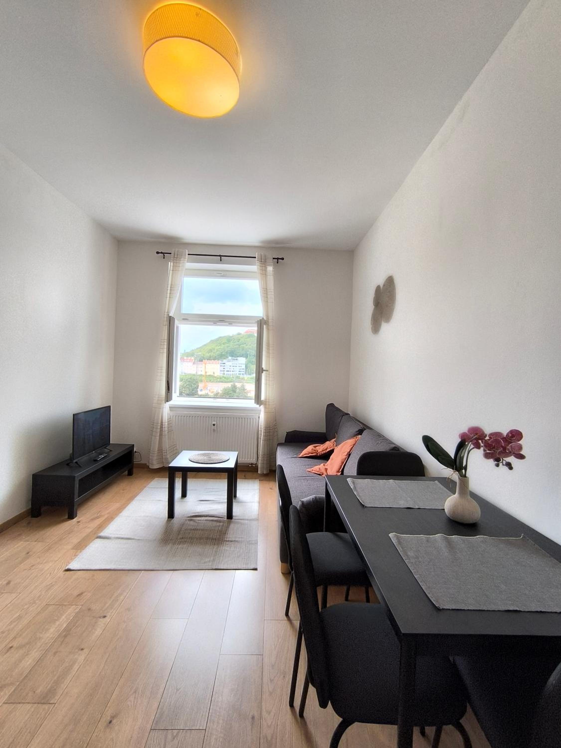 One-Bedroom Superior Apartment