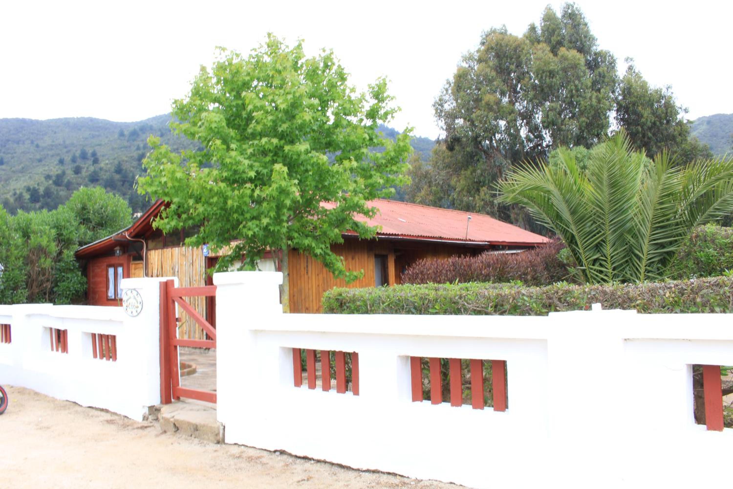 Three-Bedroom House photo 3