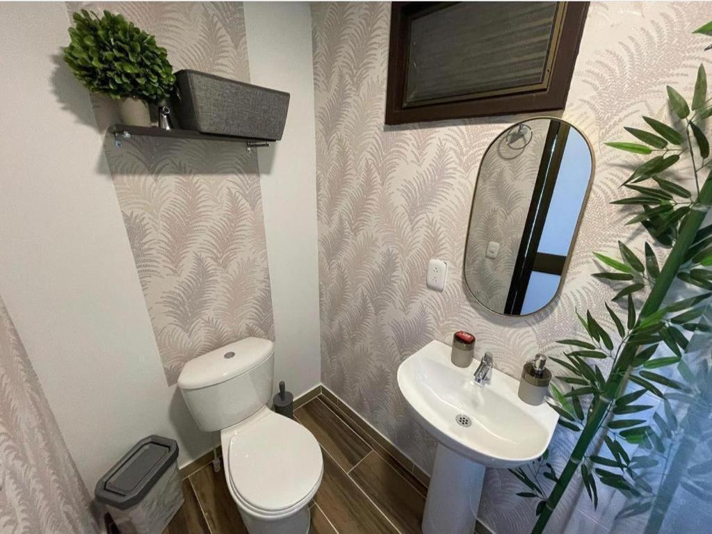Suite With Terrace photo 1