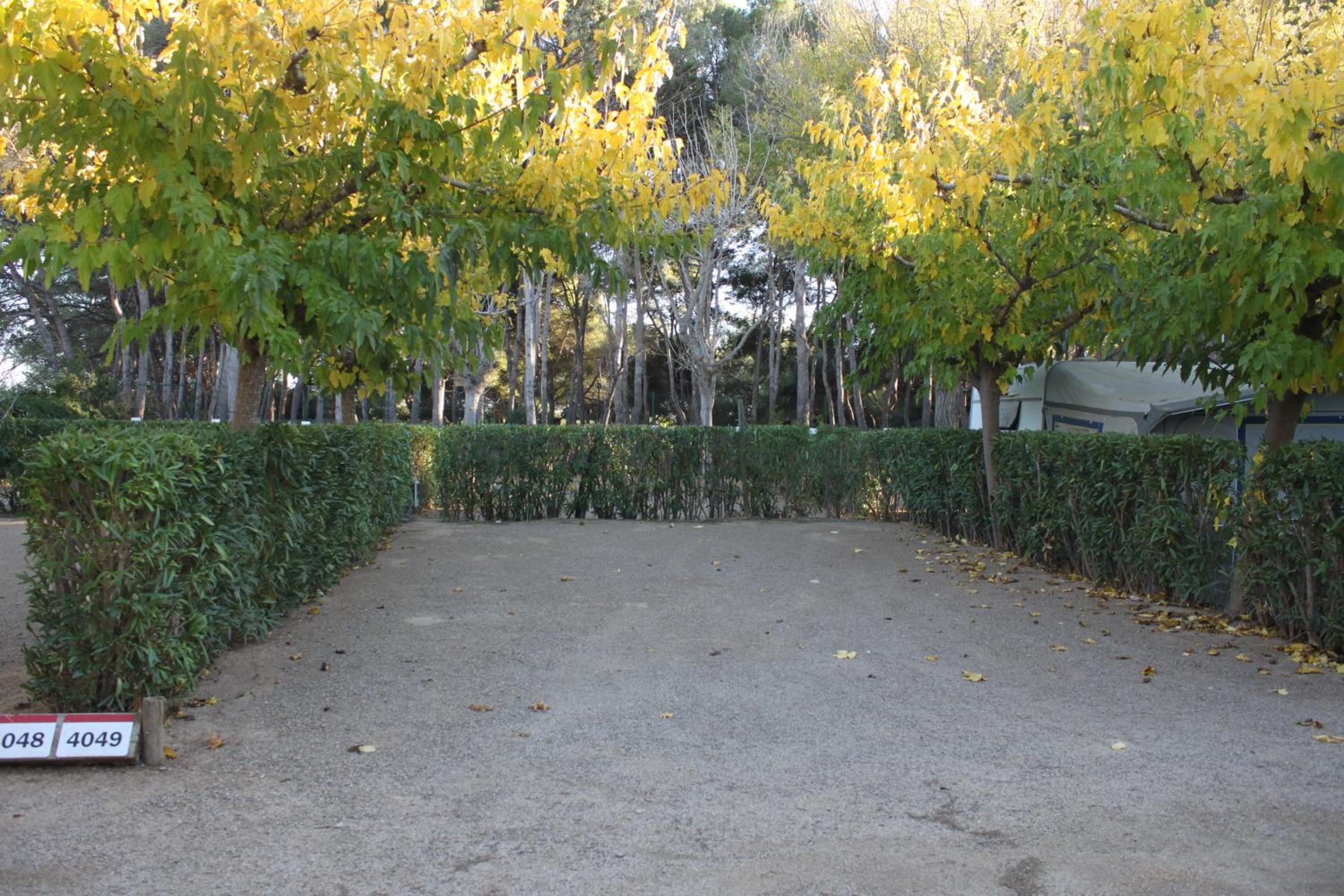 Empty Plot Large (Bring your own caravan, autocaravan or tent) photo 3