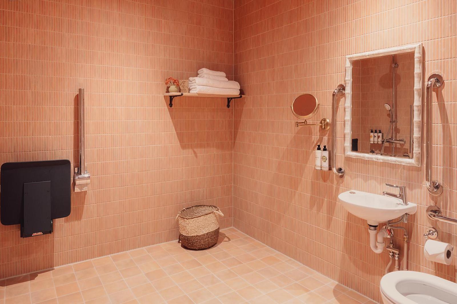 Fancy Accessible Room photo 3
