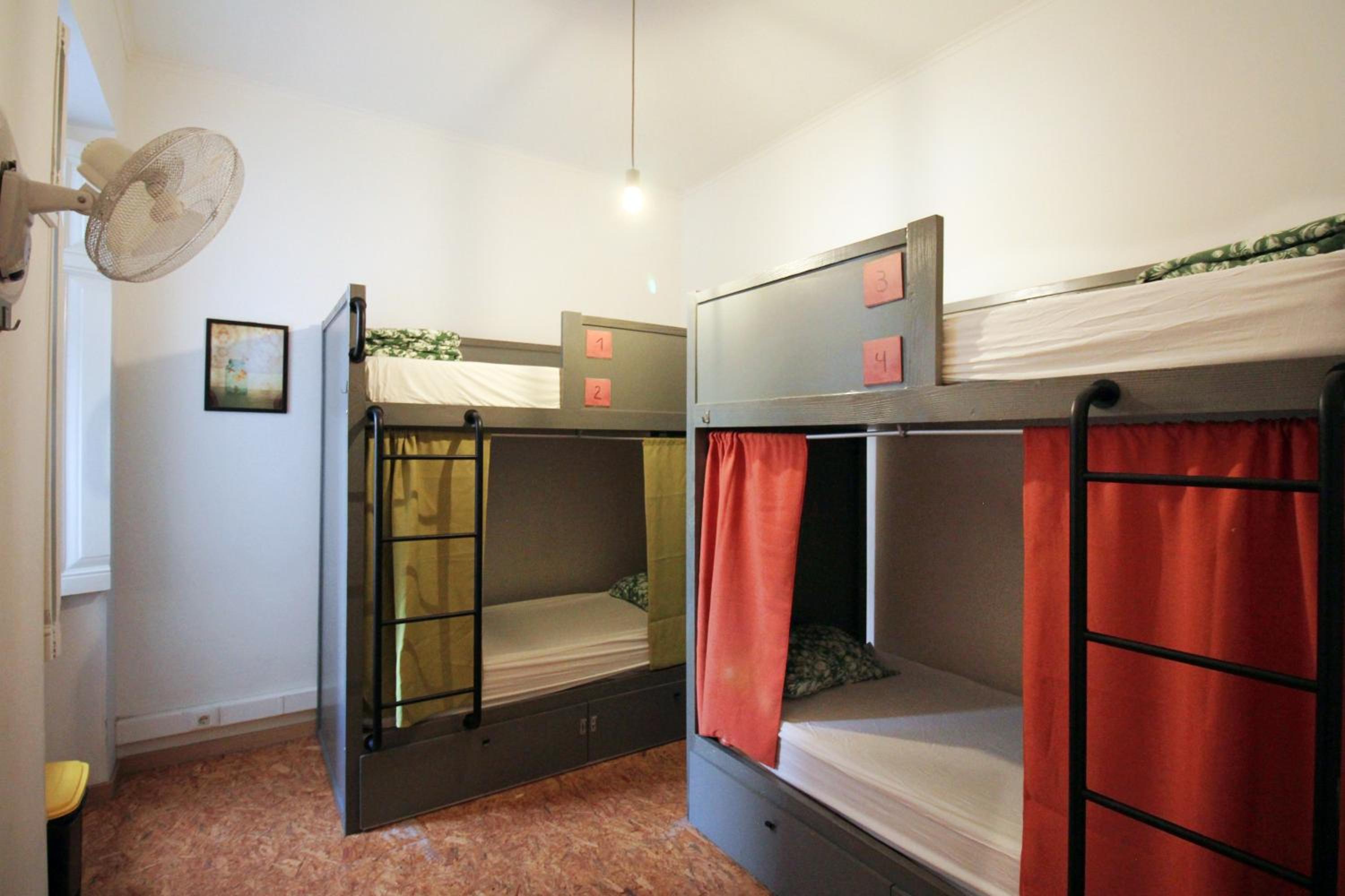 Bed in 4-Bed Dormitory Room photo 3