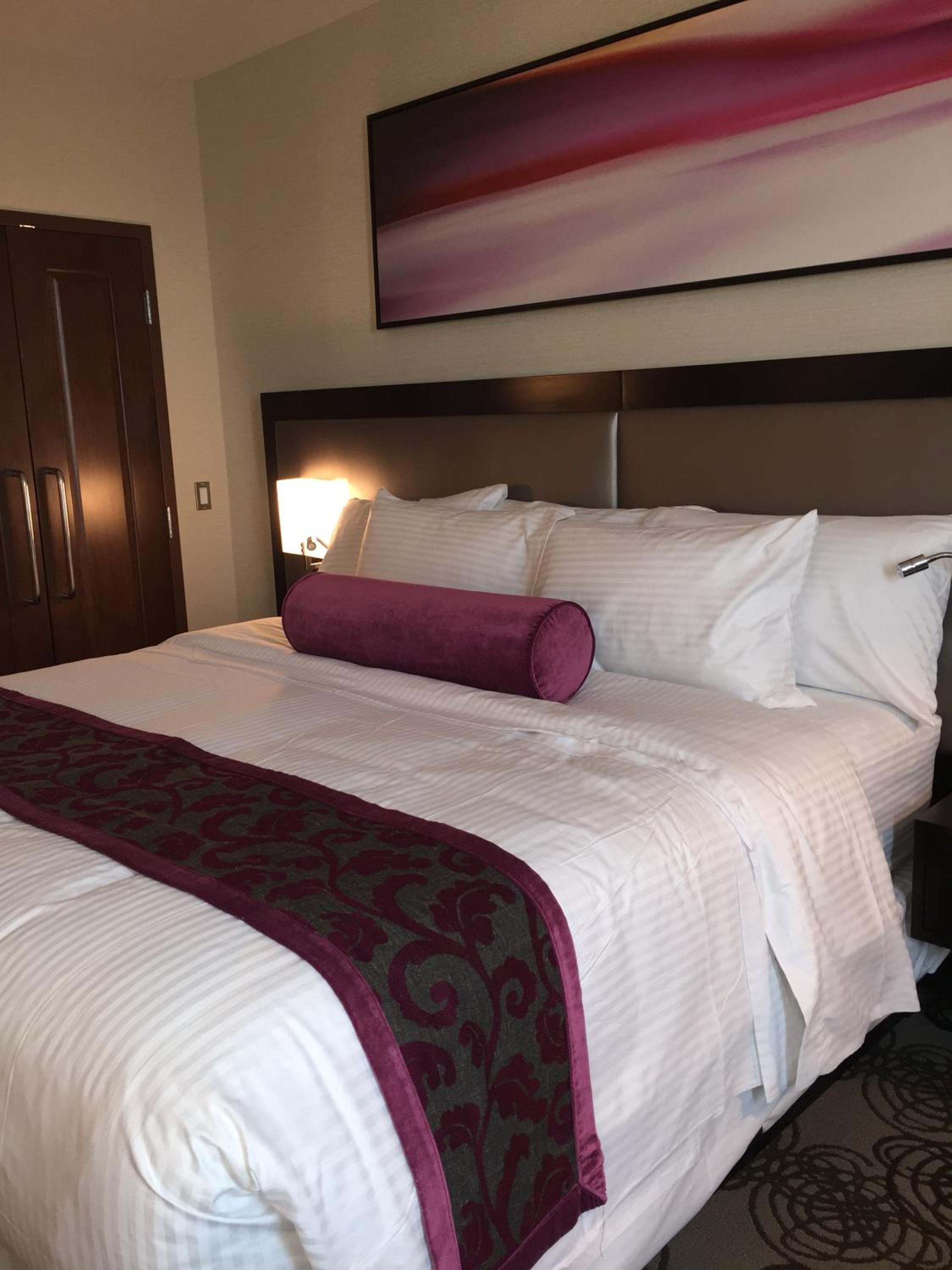Deluxe King Suite photo 3
