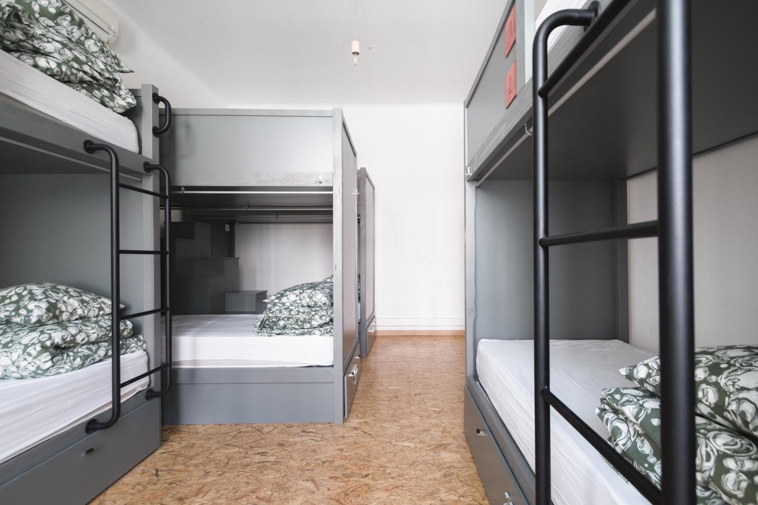 Bed in 8 Bed Female Dorm Ensuite photo 3