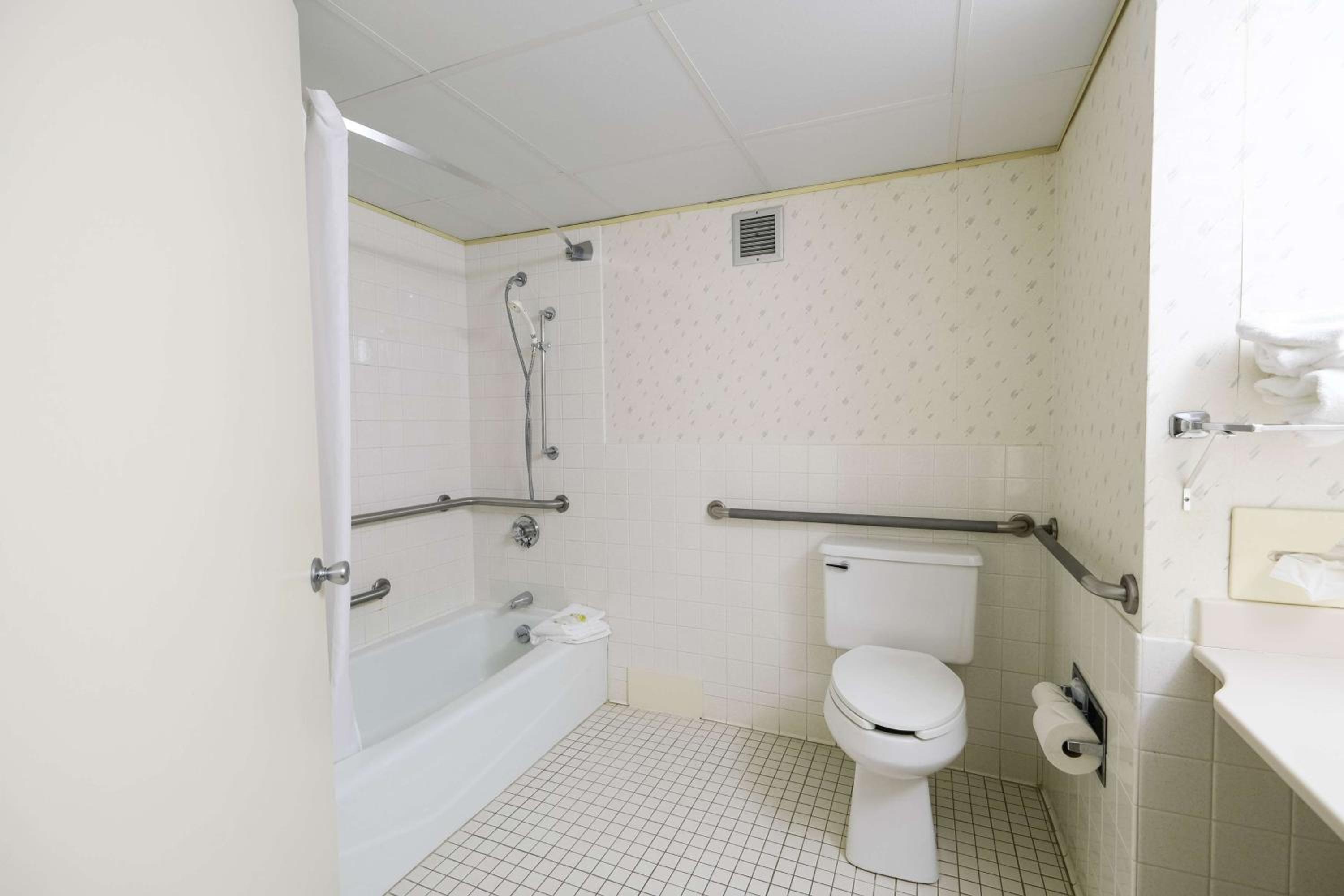 King Suite - Handicap Access - Photo 8
