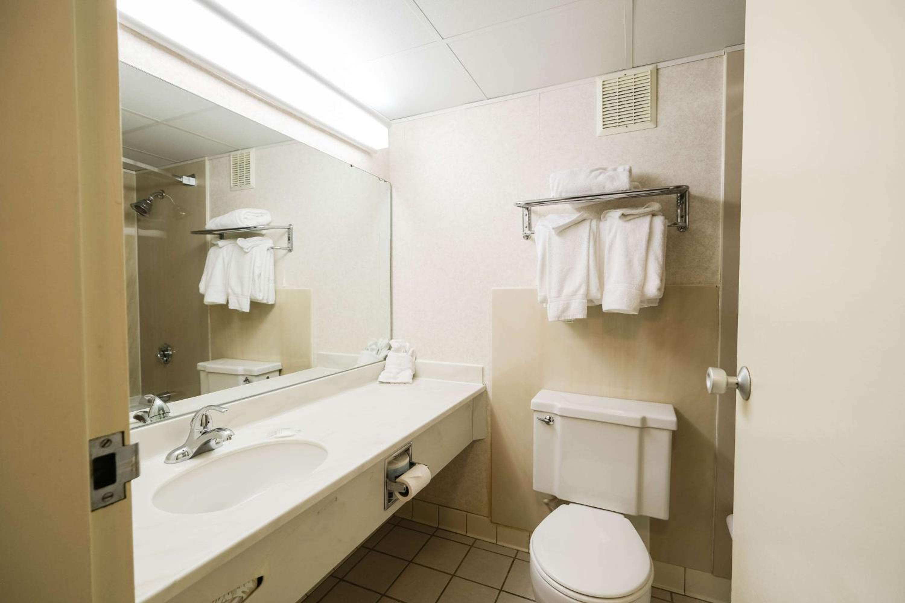 King Suite - Handicap Access - Photo 7