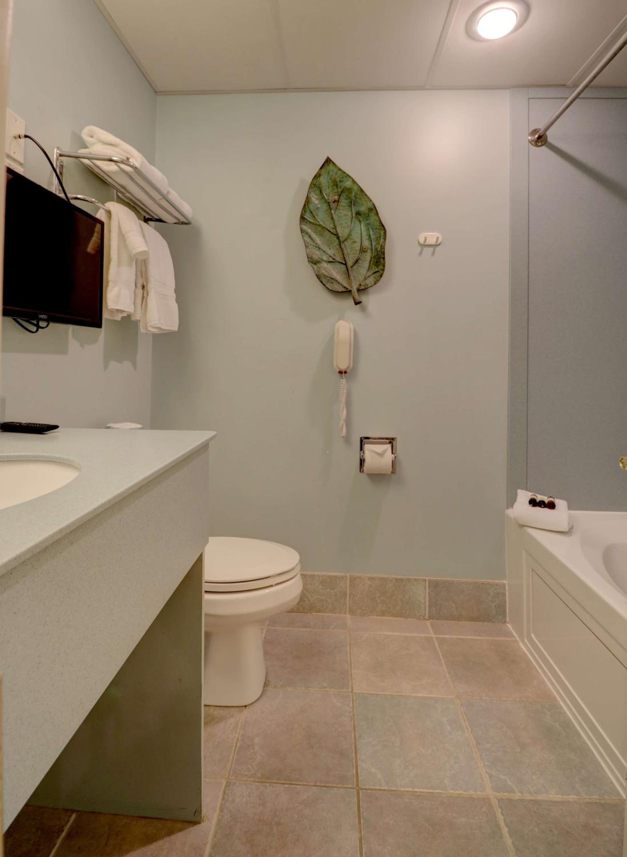 Spa Suite 1 King  - Photo 3