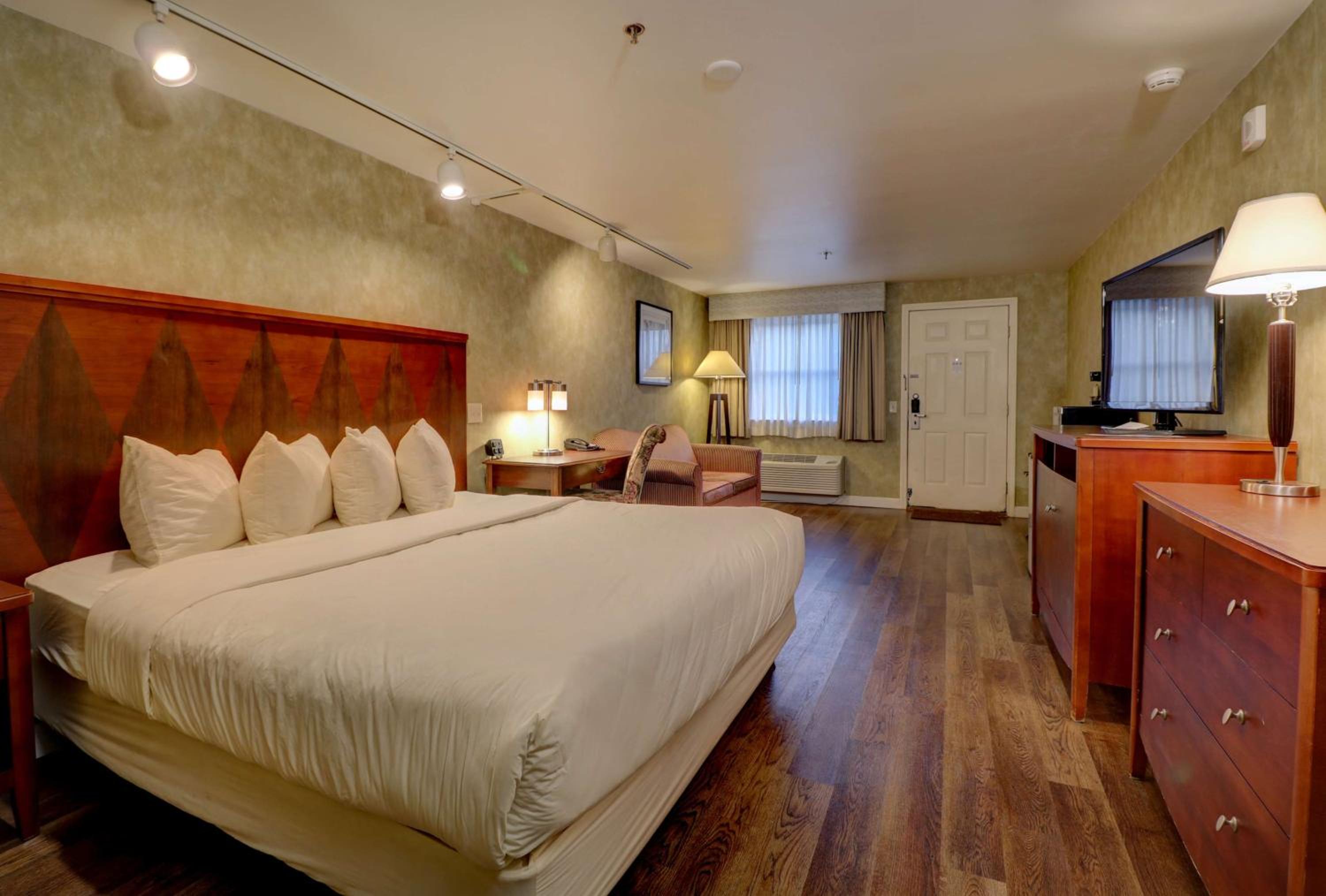 Premium 1 King, Pet-friendly