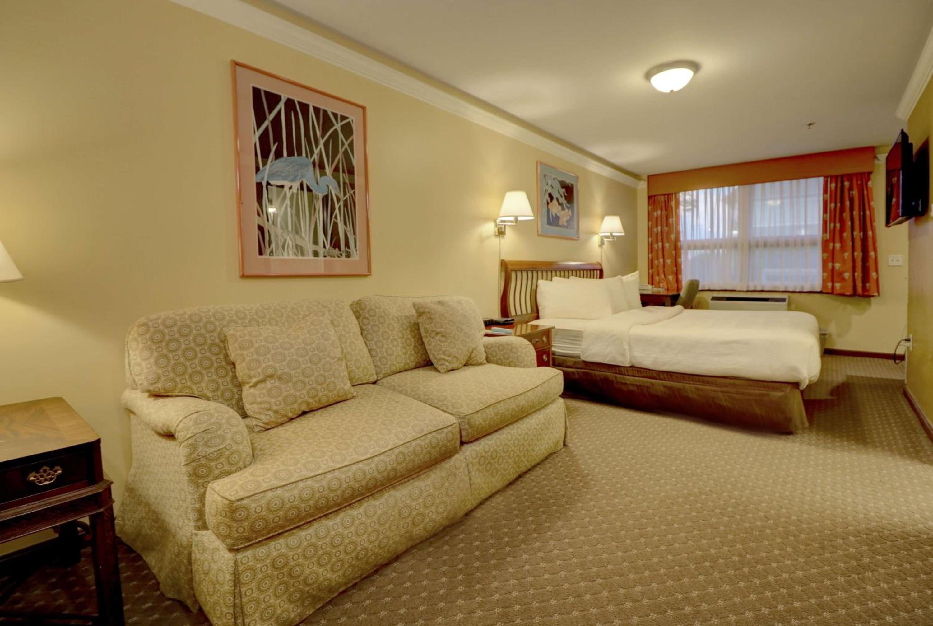 Standard King Room - Photo 5