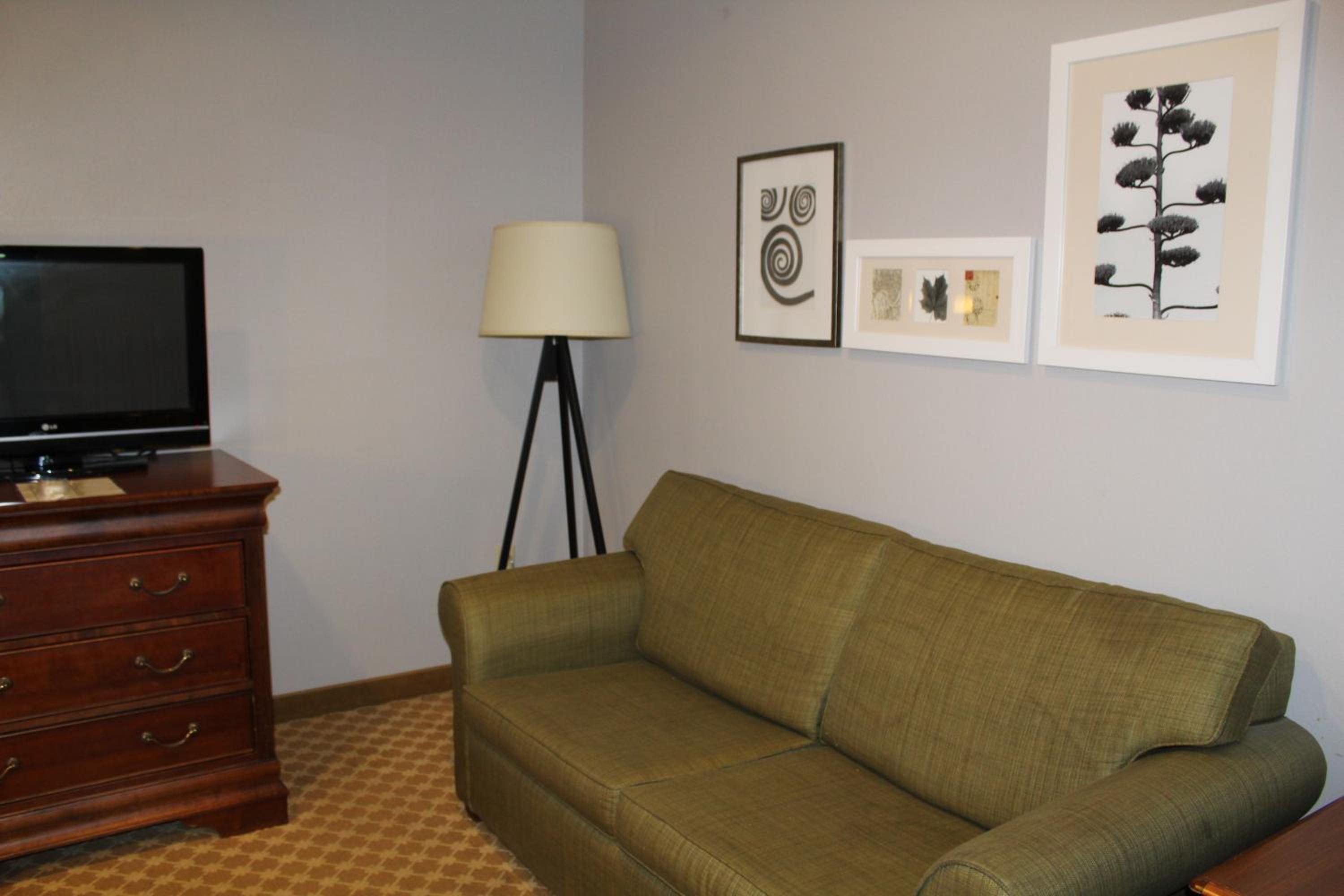 One-Bedroom King Suite