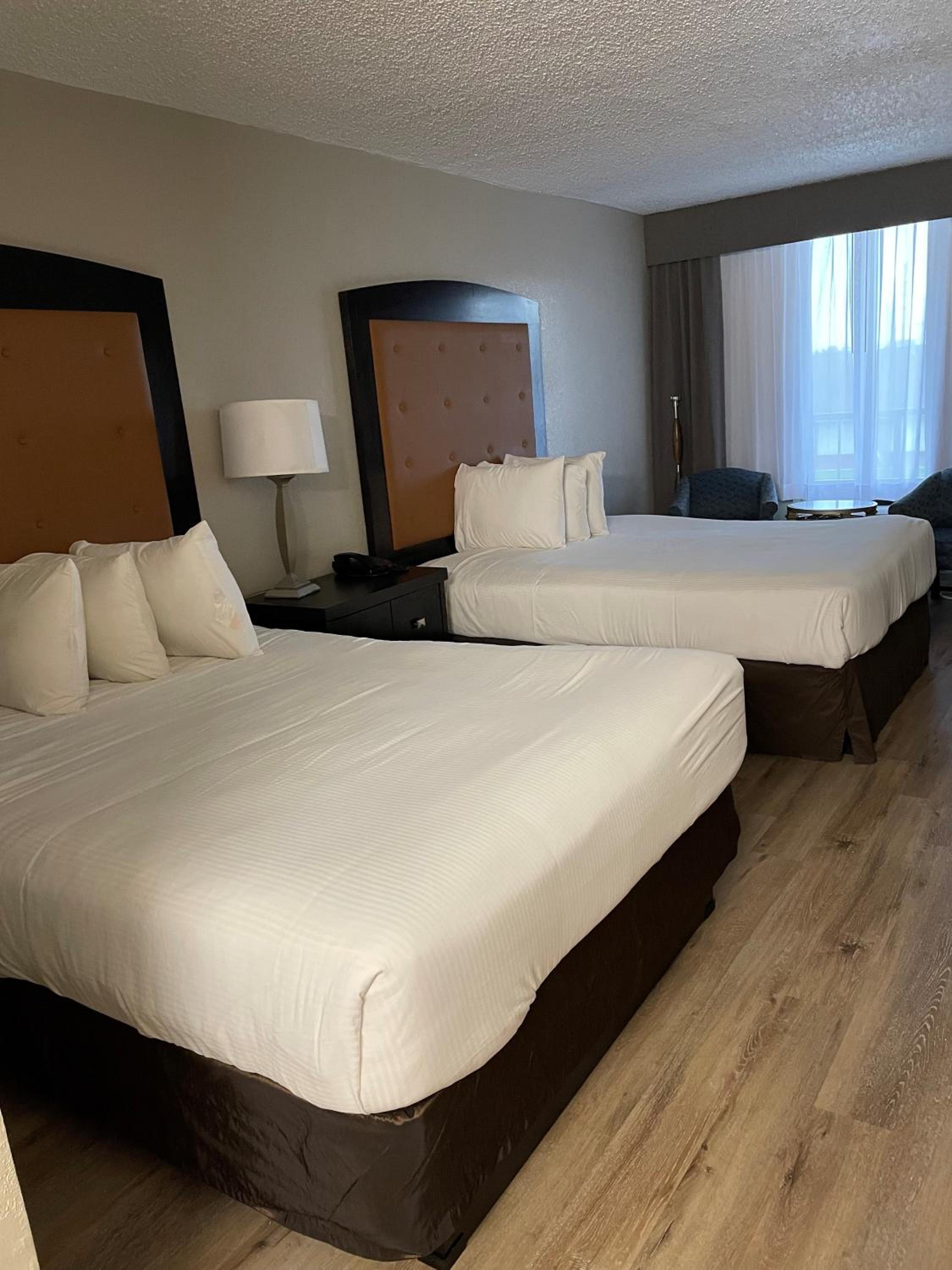 Standard Double Room - Photo 1