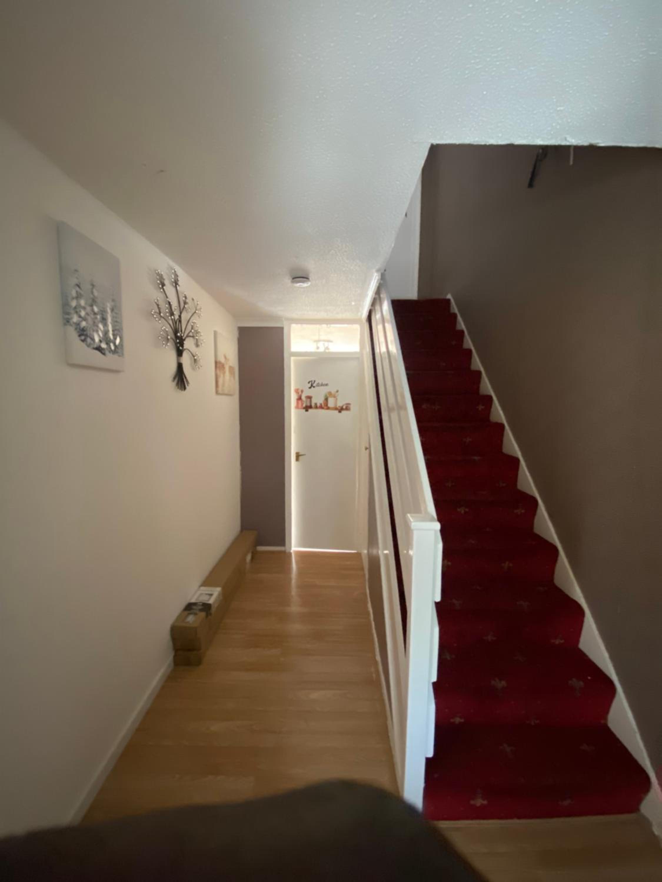 Single Room photo 1