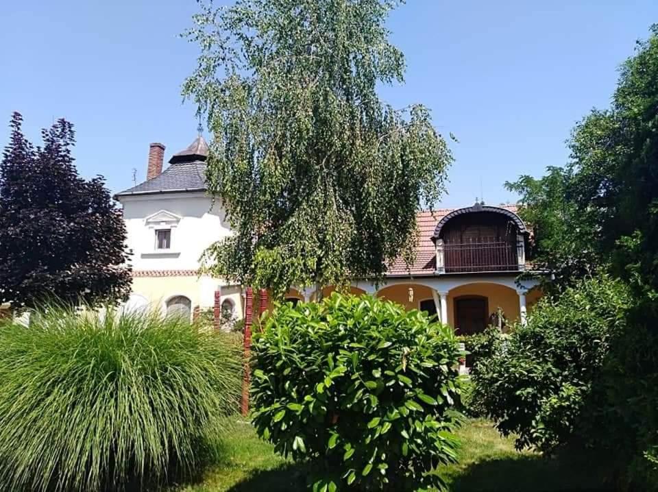 Apartment With Garden View photo 2
