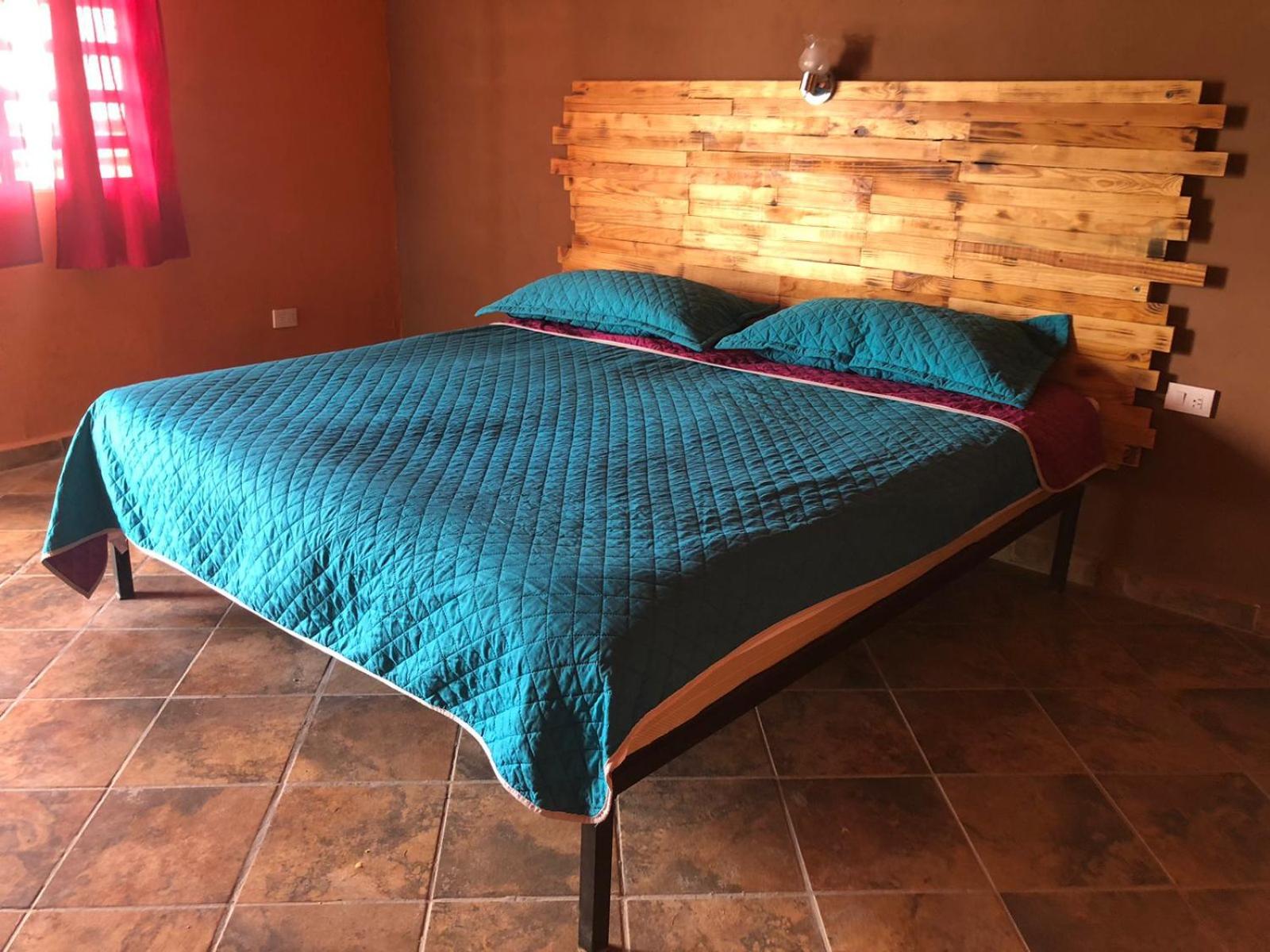 Large Single Room photo 2