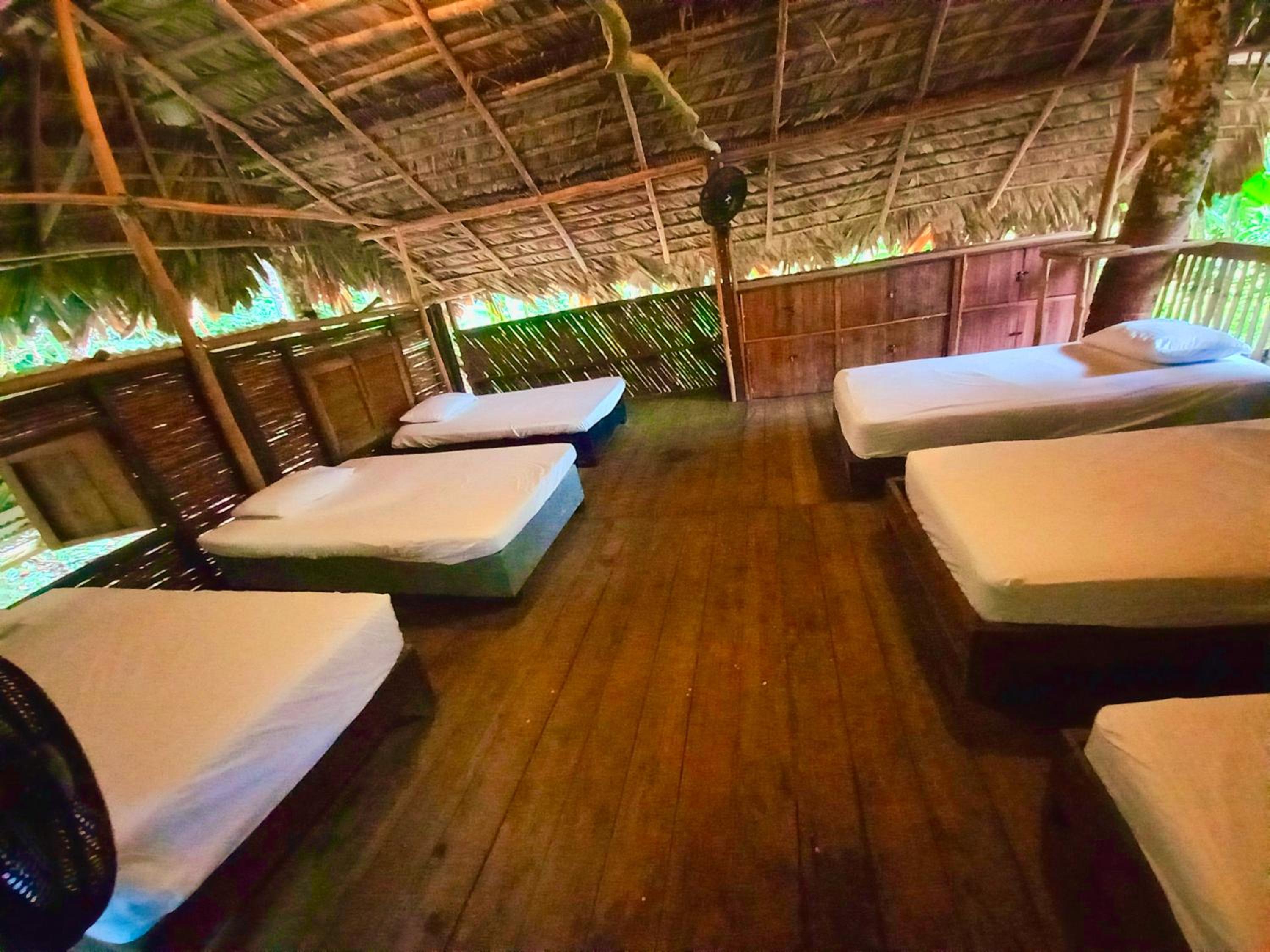 Bed in 6-Bed Mixed Dormitory Room photo 1