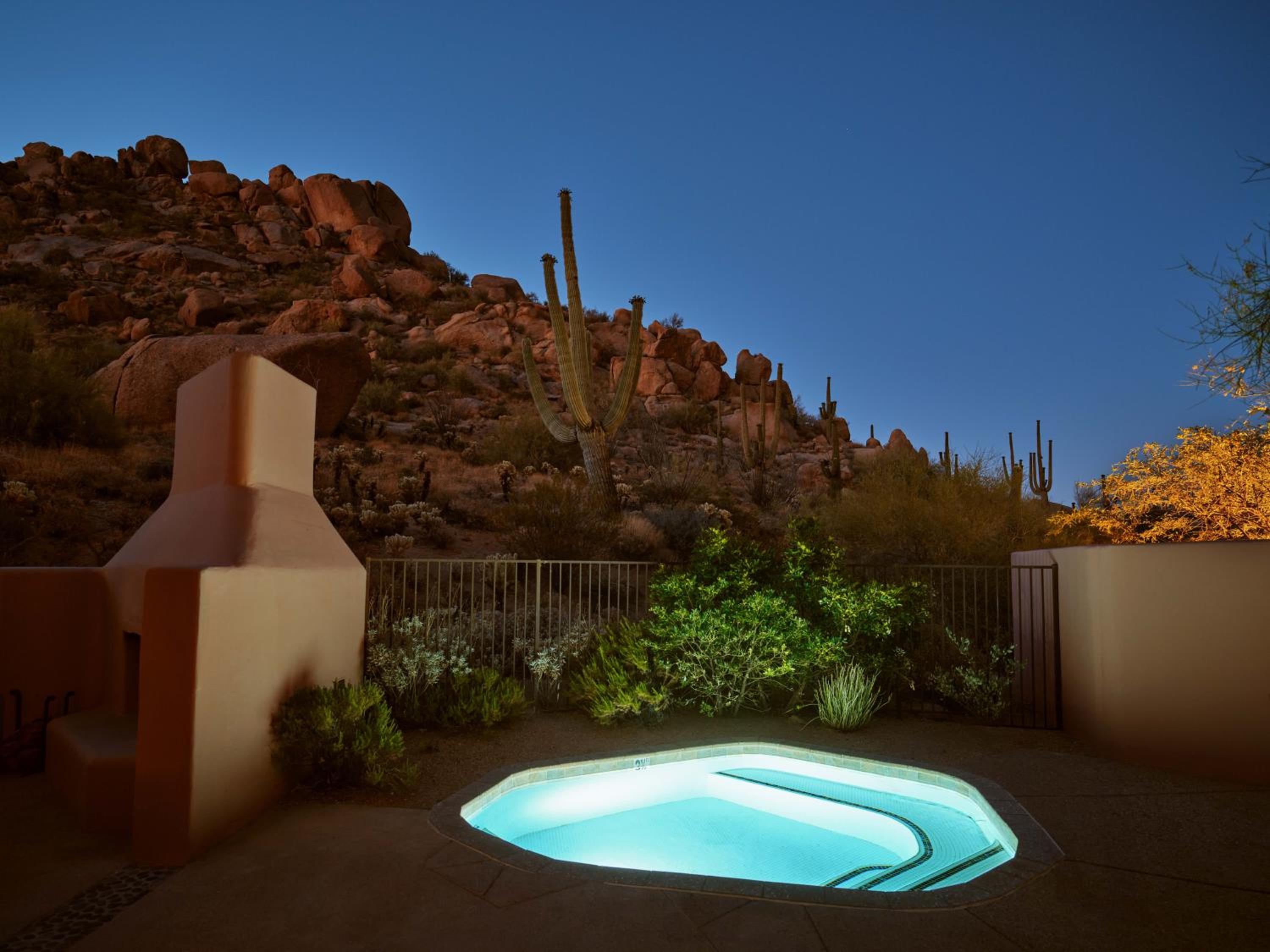 One-Bedroom Oasis Accessible Plunge Pool King Suite photo 2