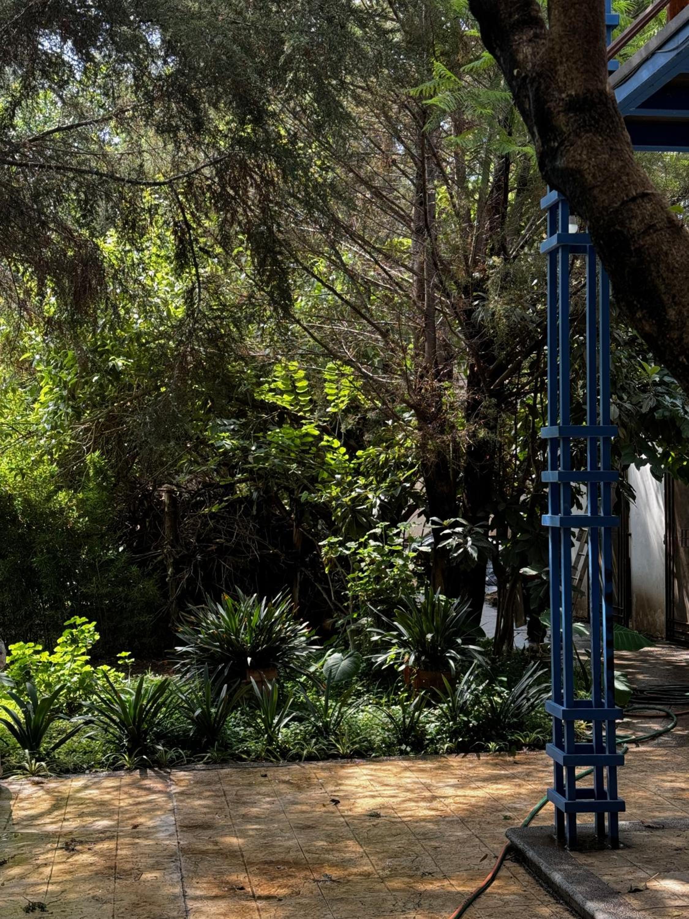 Deluxe Bungalow with Garden View - Photo 19