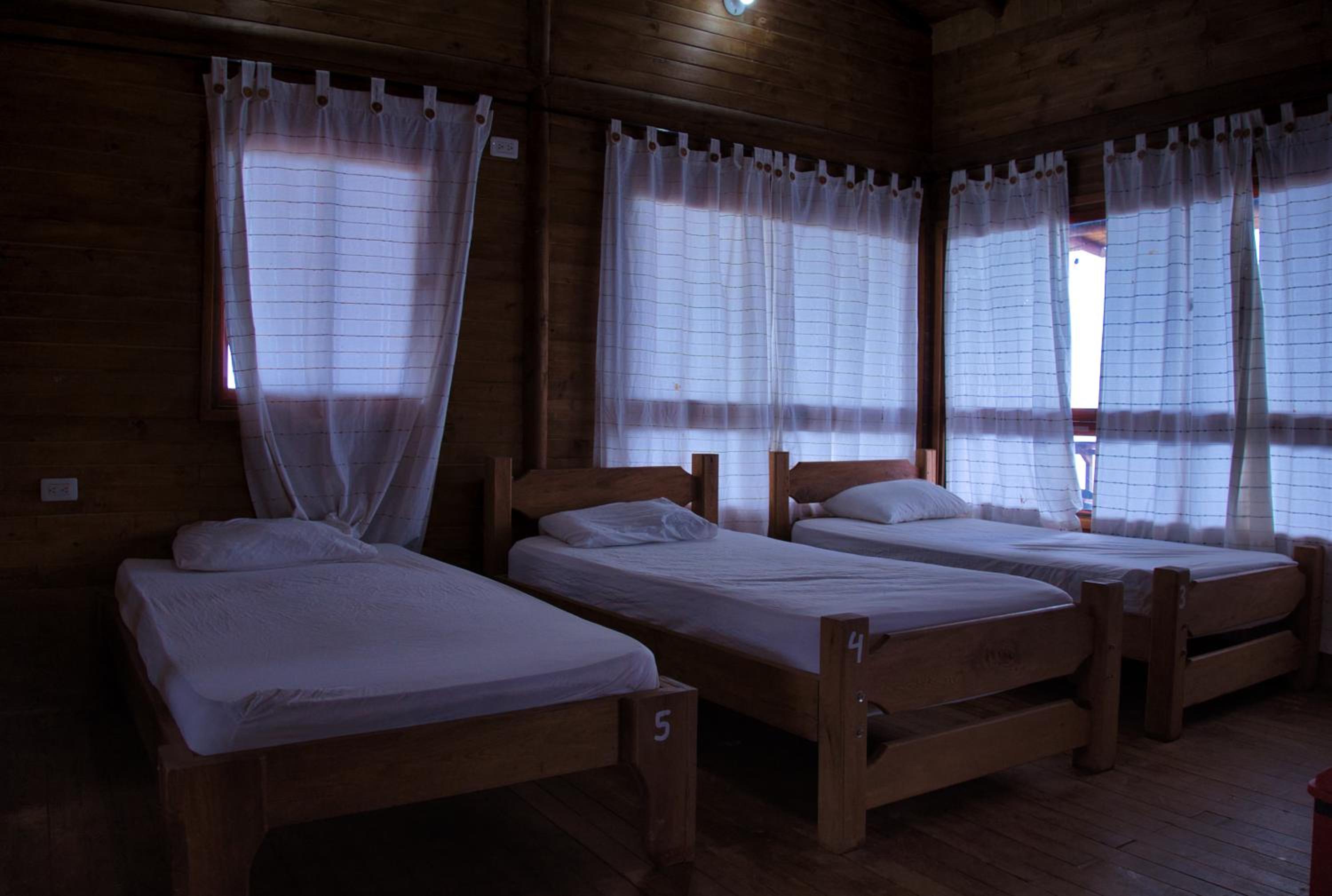 Bunk Bed in Mixed Dormitory Room for 12 people