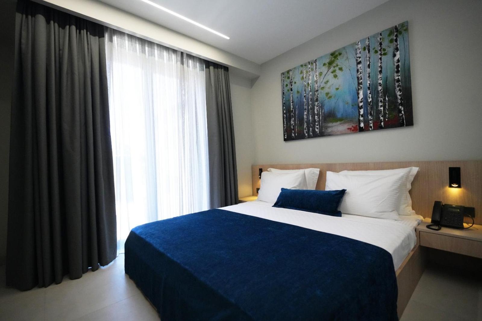 Deluxe Room photo 2