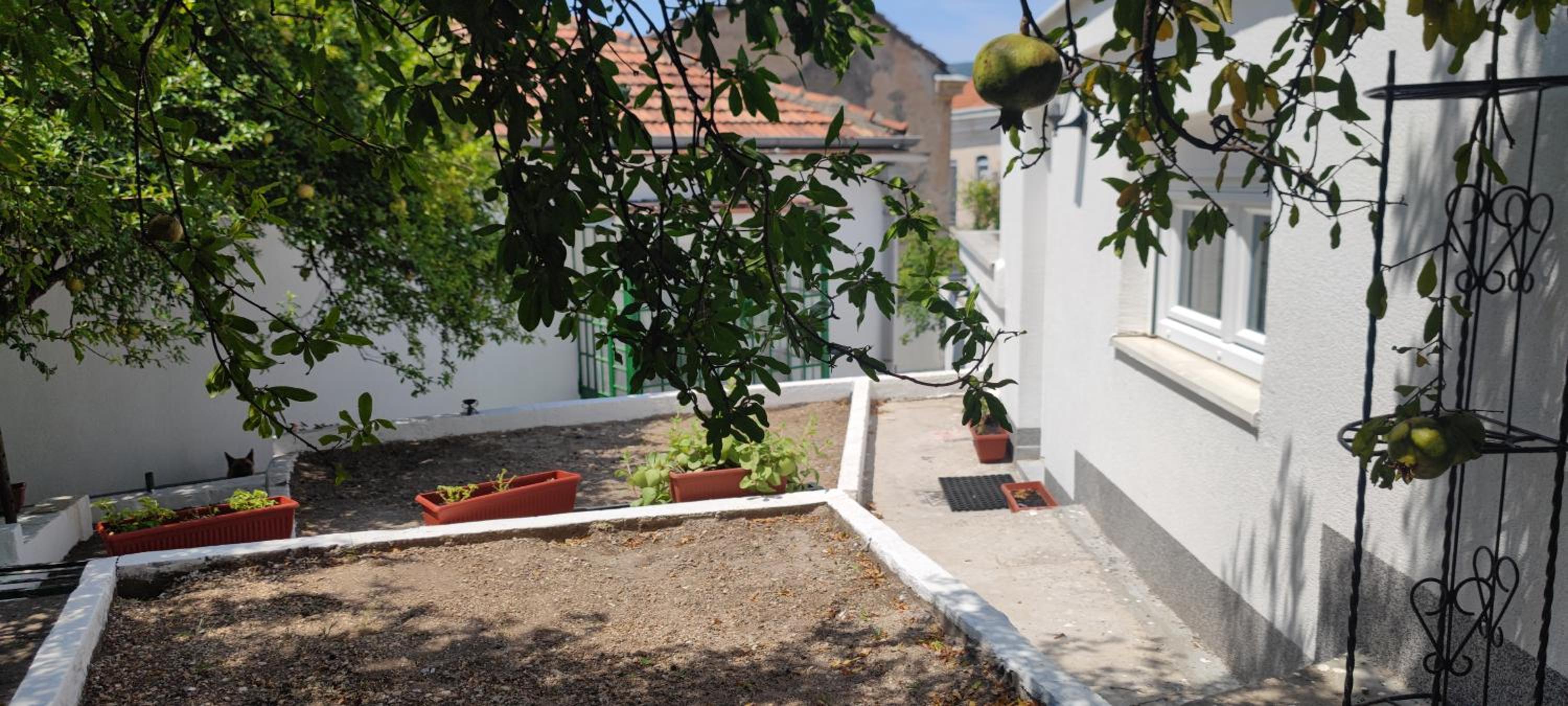Studio with Garden View photo 2