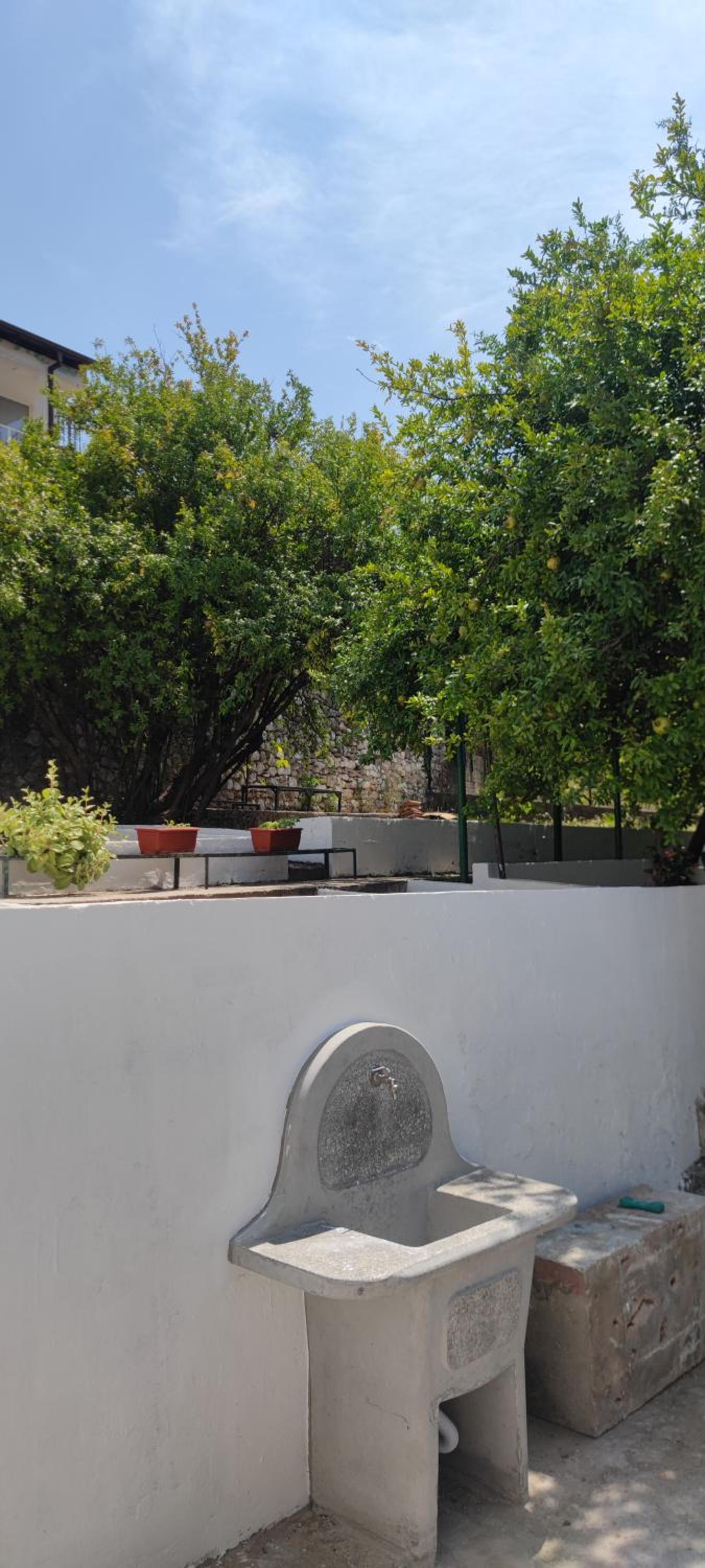 Studio with Garden View photo 3