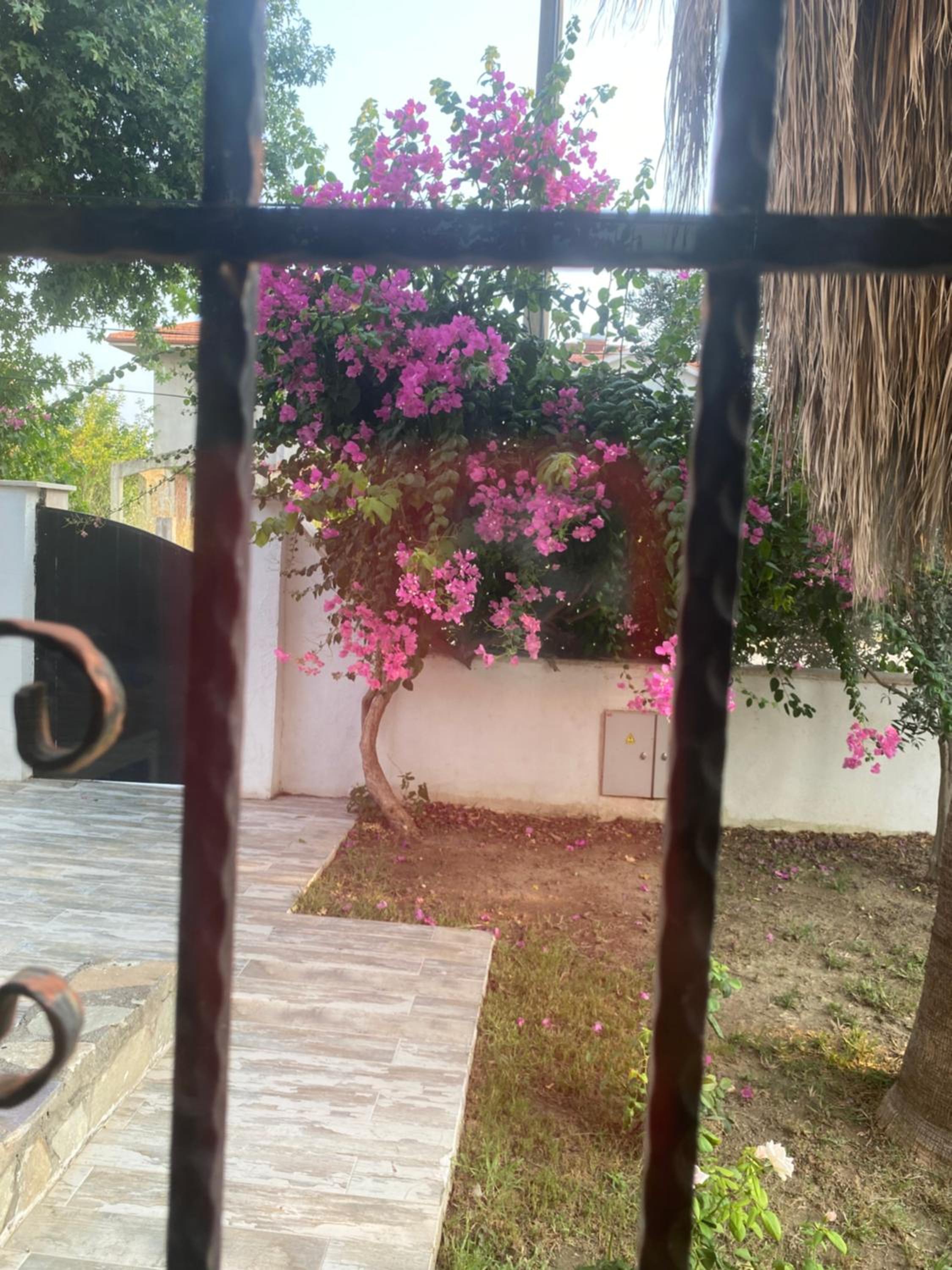 Villa with Private Pool photo 2