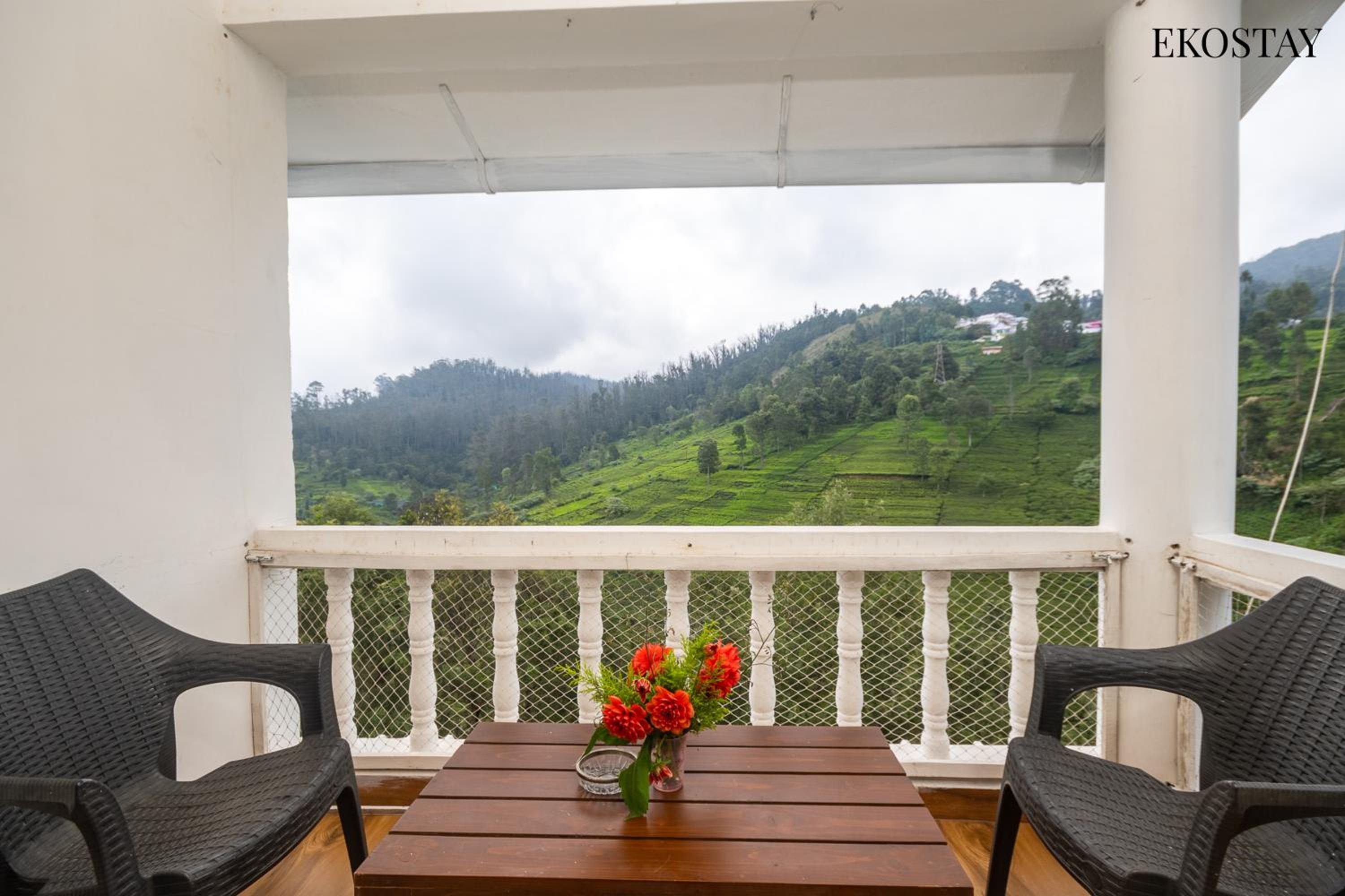 Superior Villa photo 3