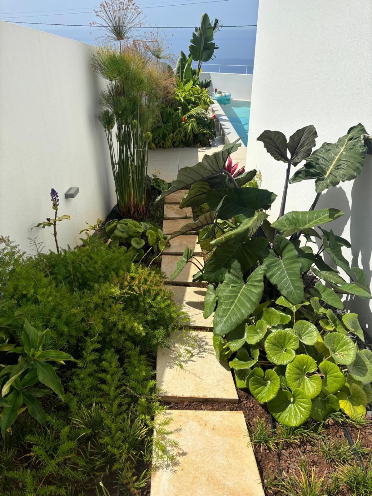 Superior Villa photo 2
