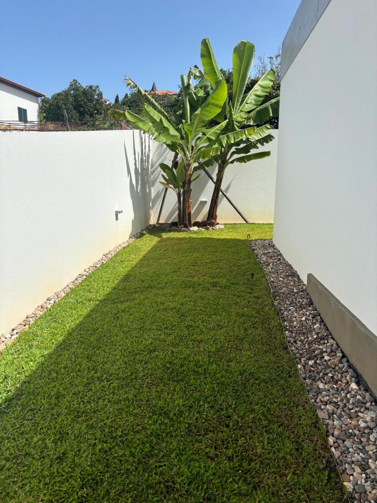 Superior Villa photo 3