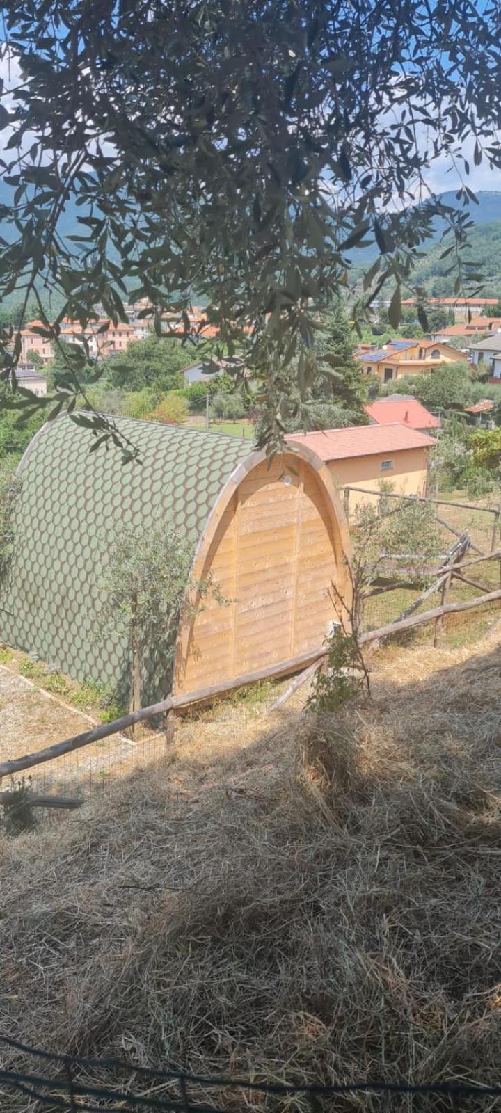 Tent - Photo 13