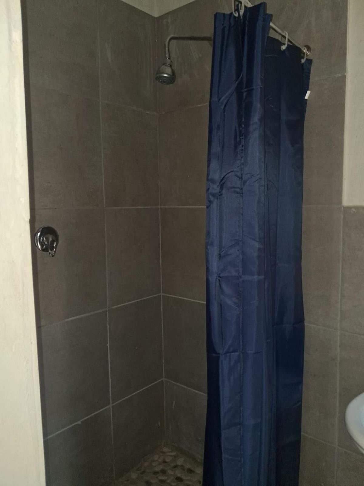Standard Holiday Home photo 2