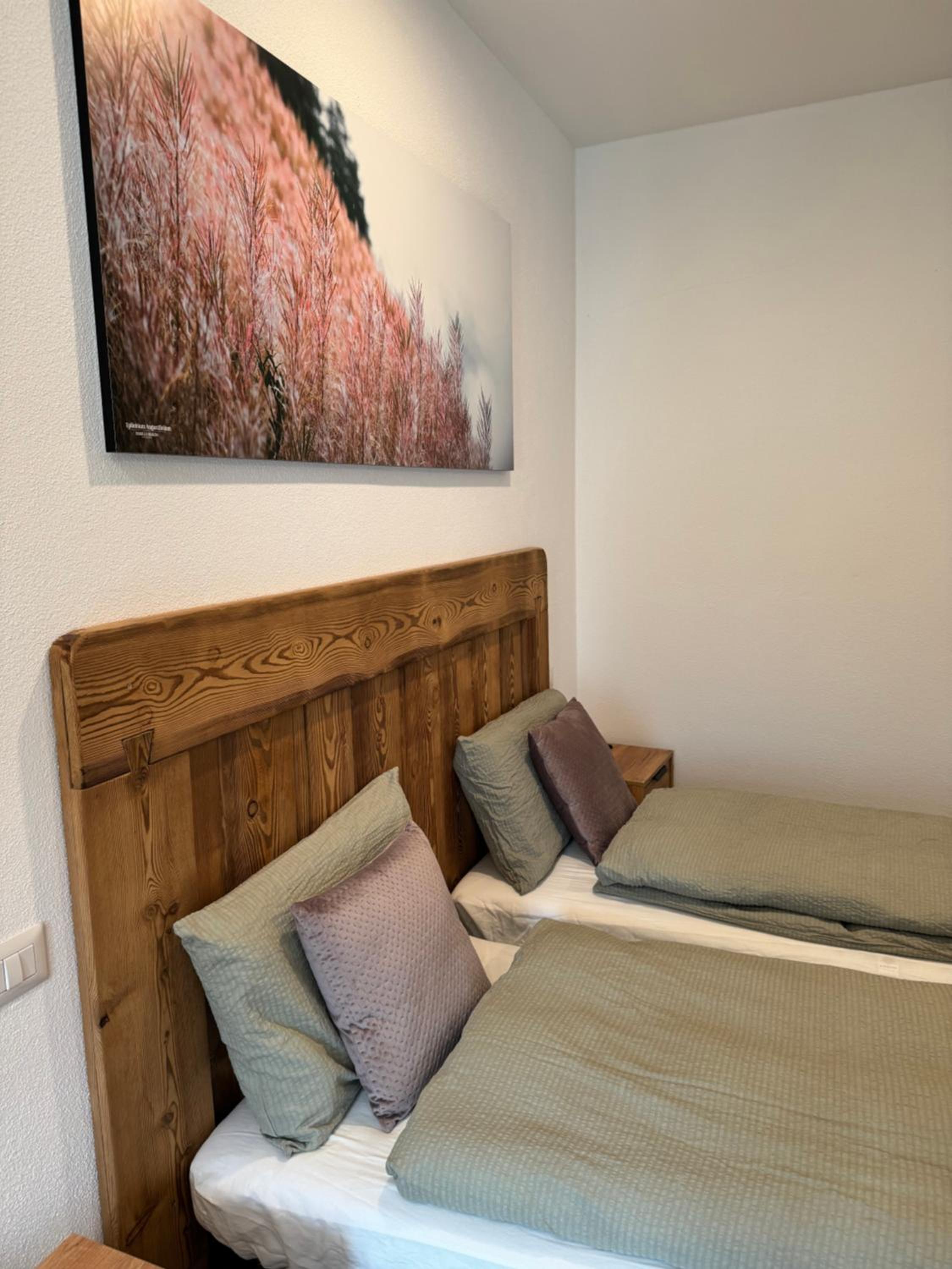Double or Twin Room with Mountain View