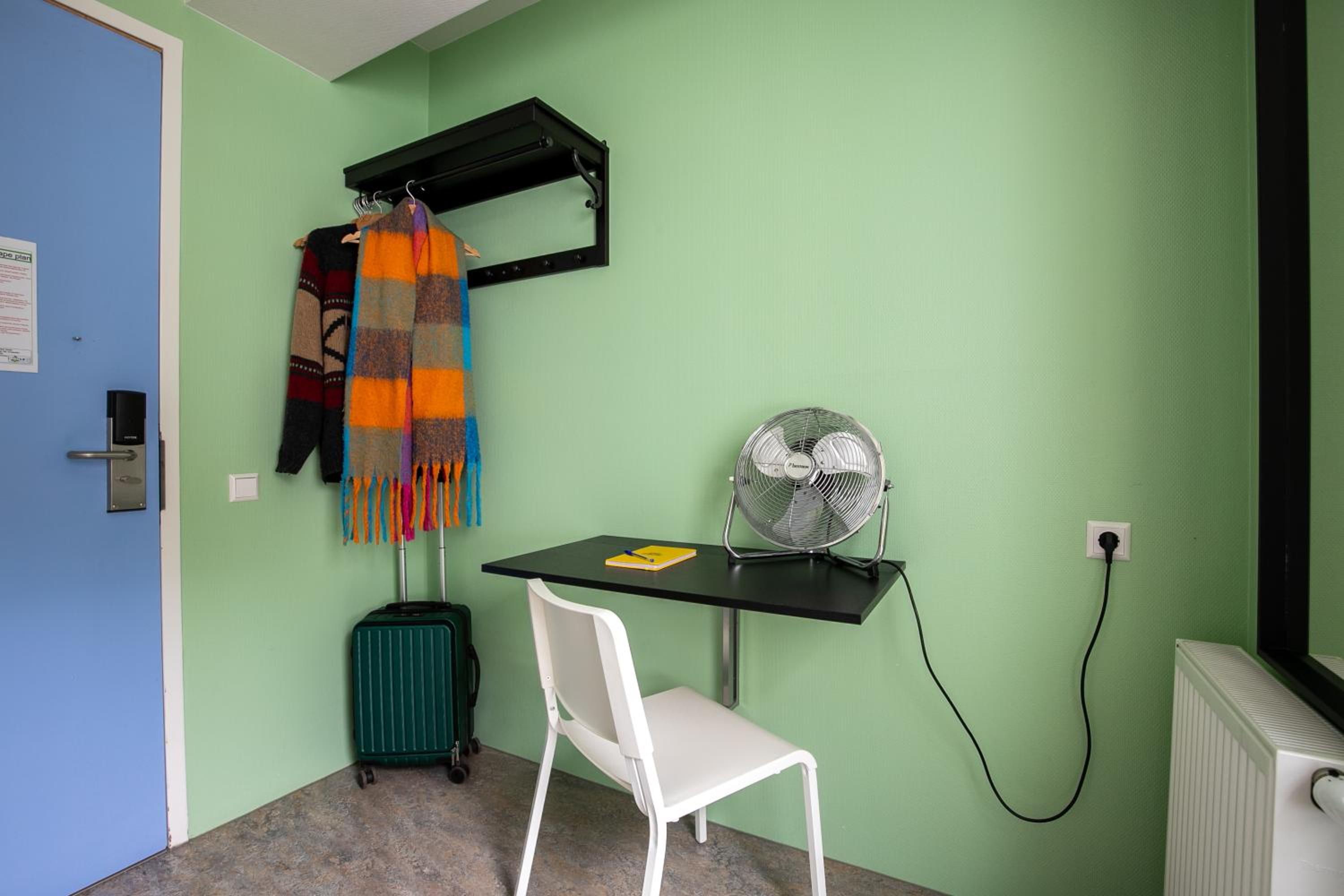 Standard Queen Room photo 1