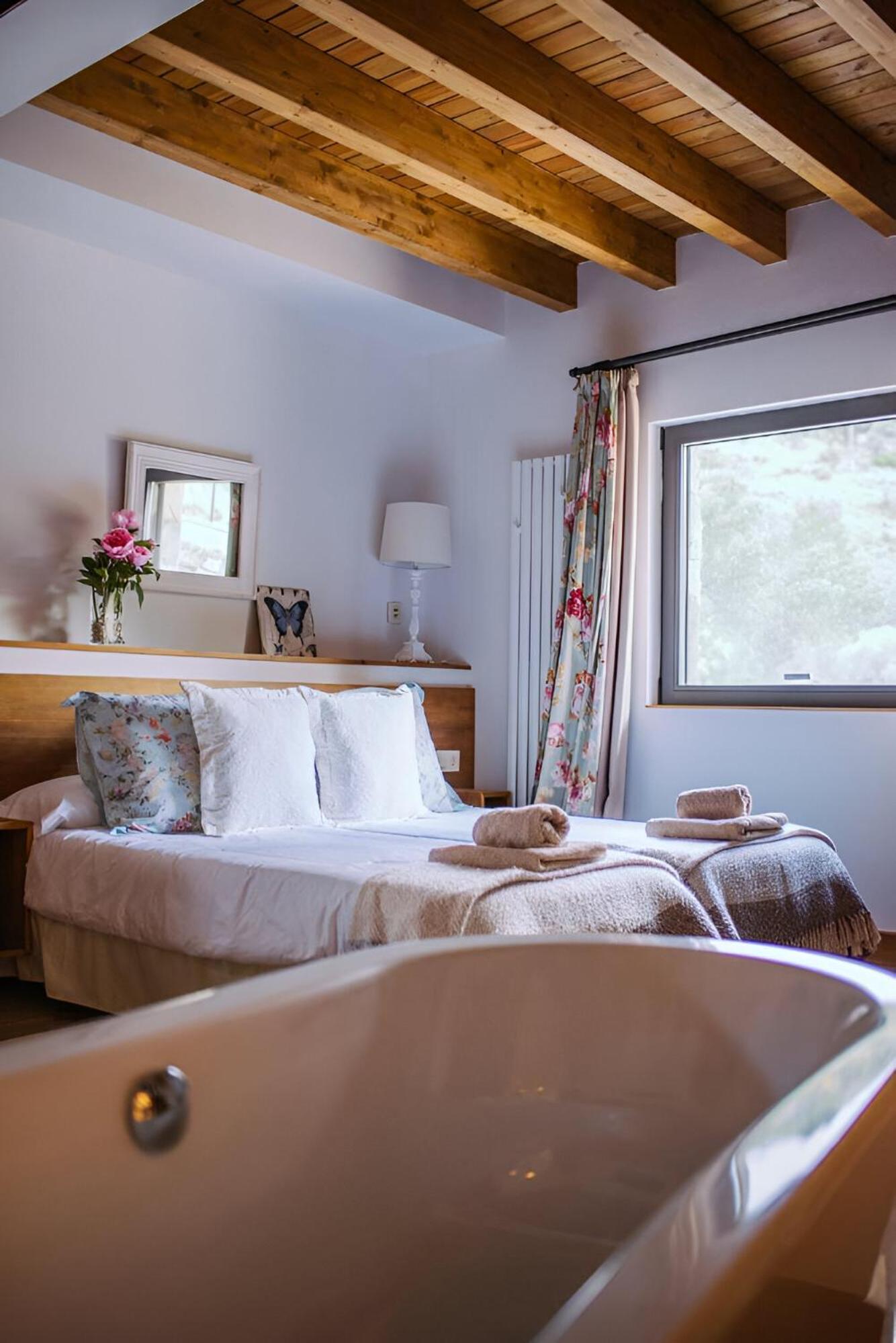 Suite Junior con Vista a la Montaña