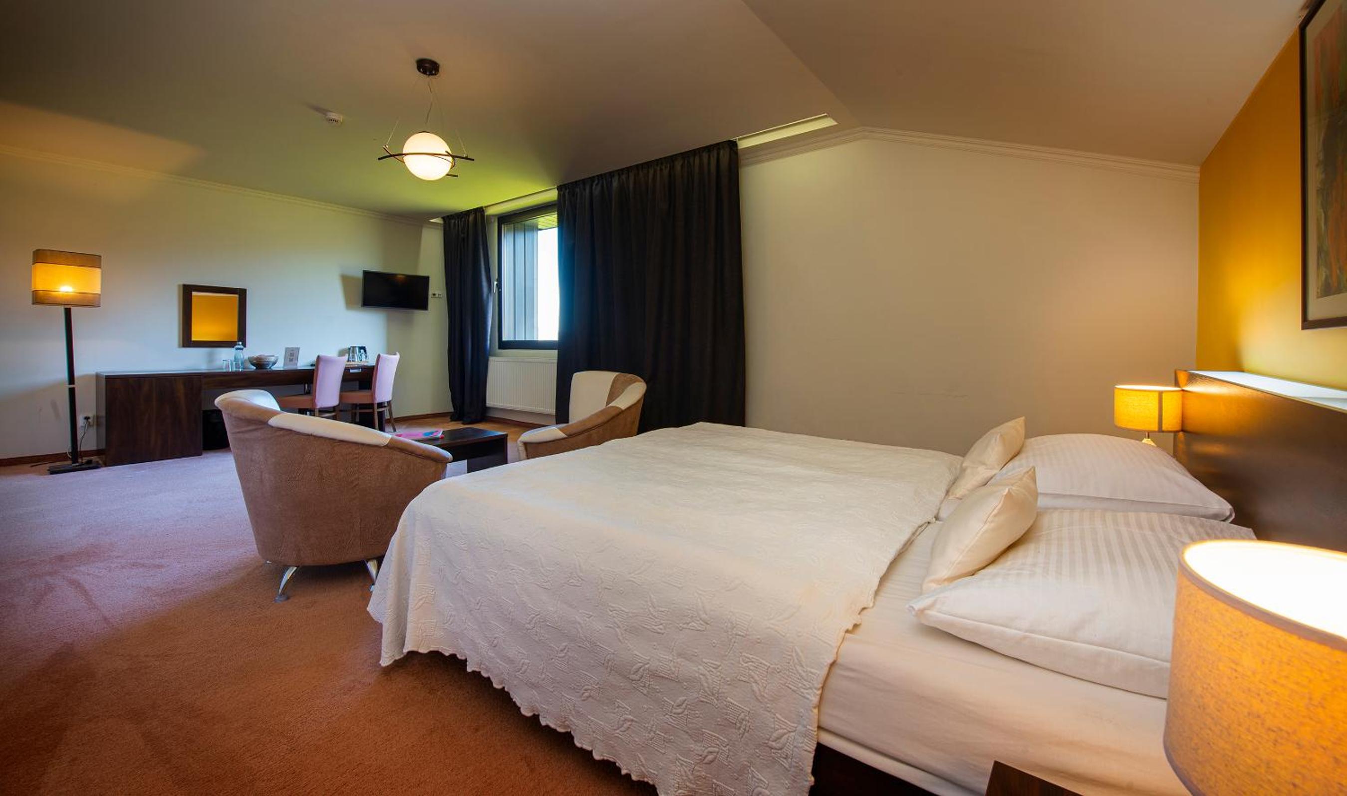 Double Room Standard Plus with Mountain View