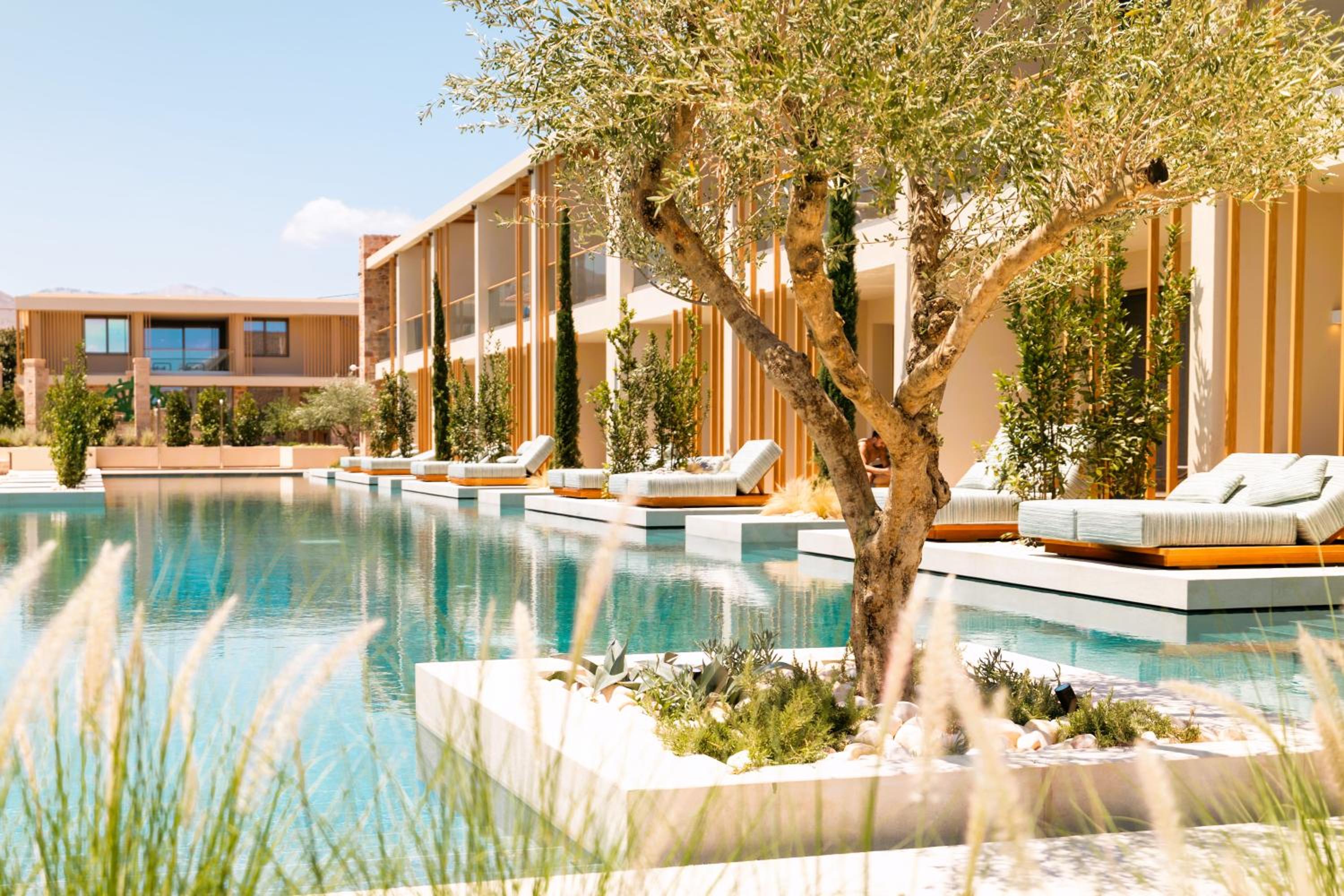 Swim Up Suite - Photo 2