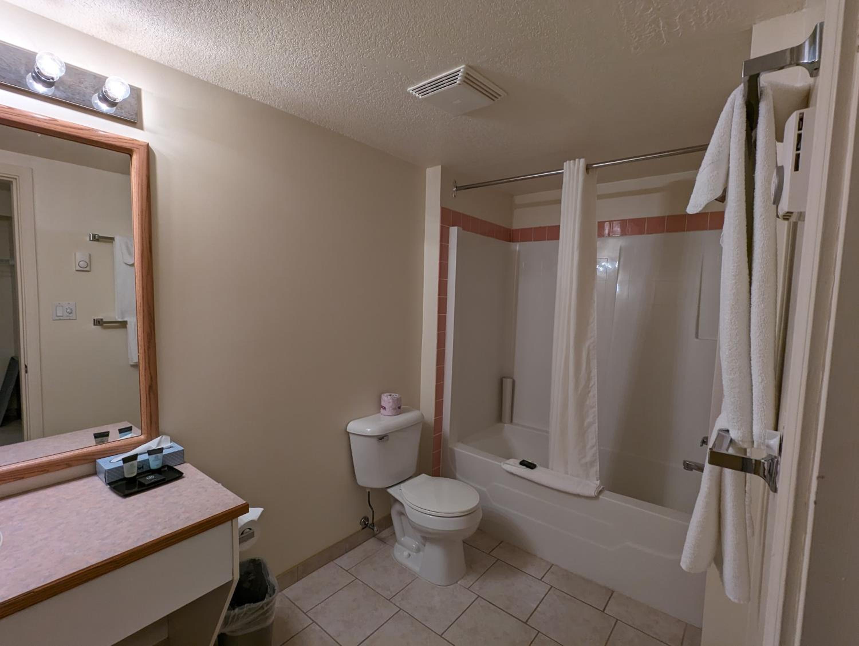 One-Bedroom Suite - Photo 3