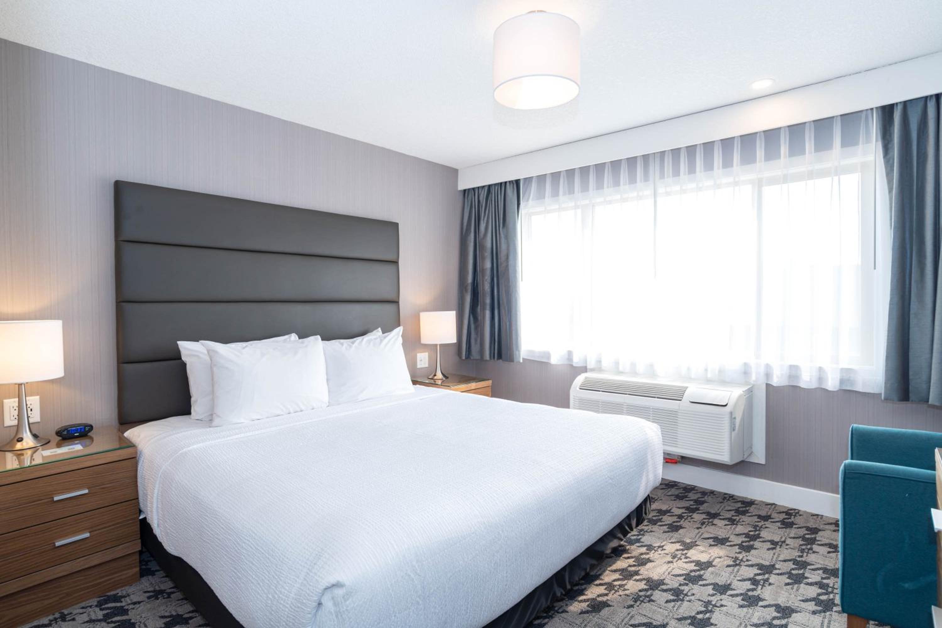 Standard Suite, 1 King Bed, Sofa Bed, Kitchenette - Photo 1