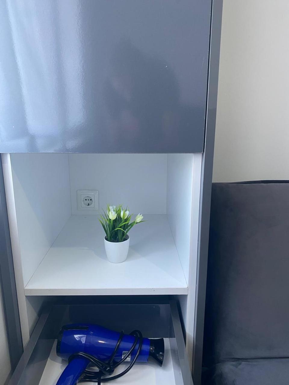 One-Bedroom Apartment photo 3
