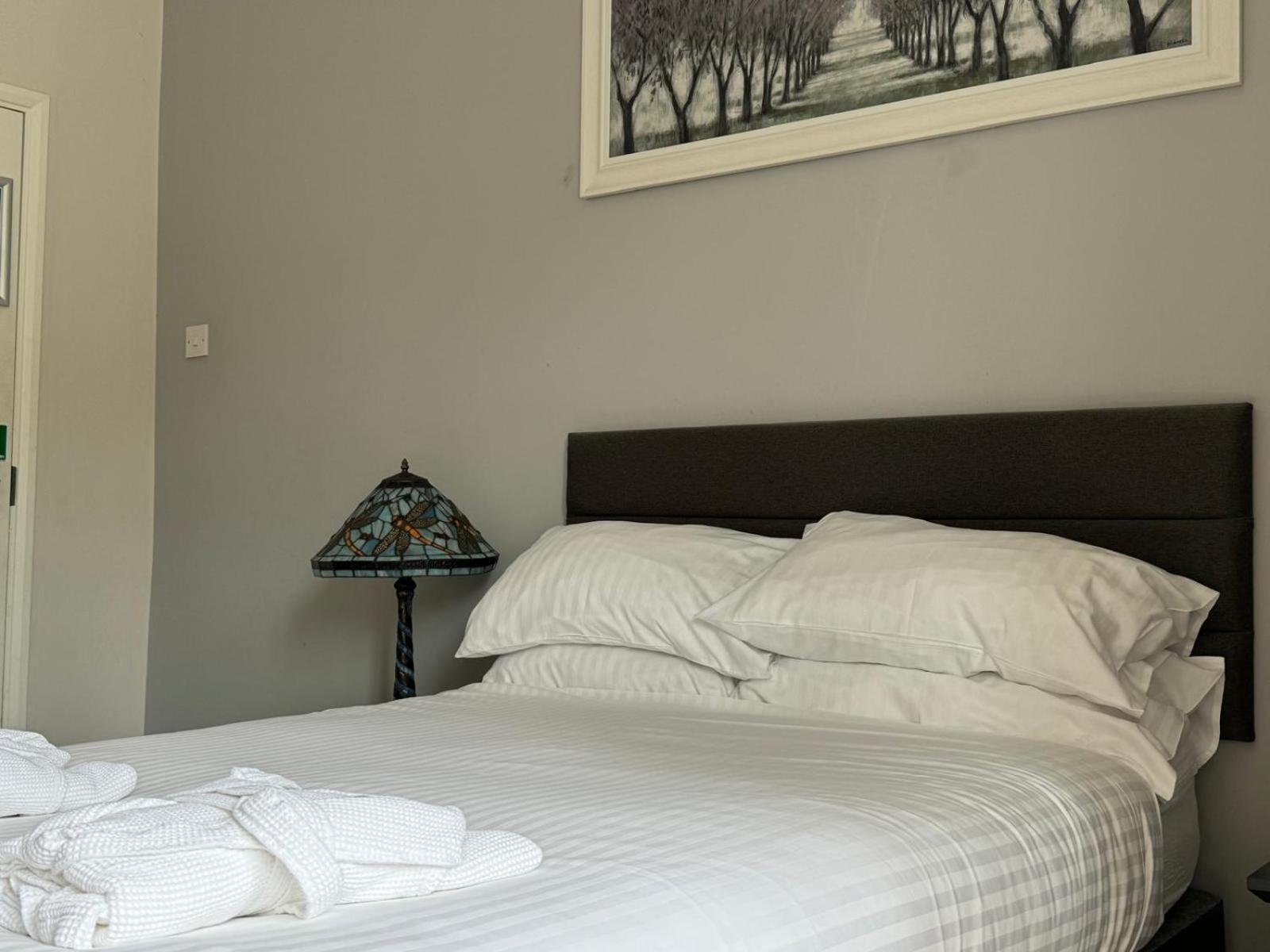 Deluxe Double Room photo 1