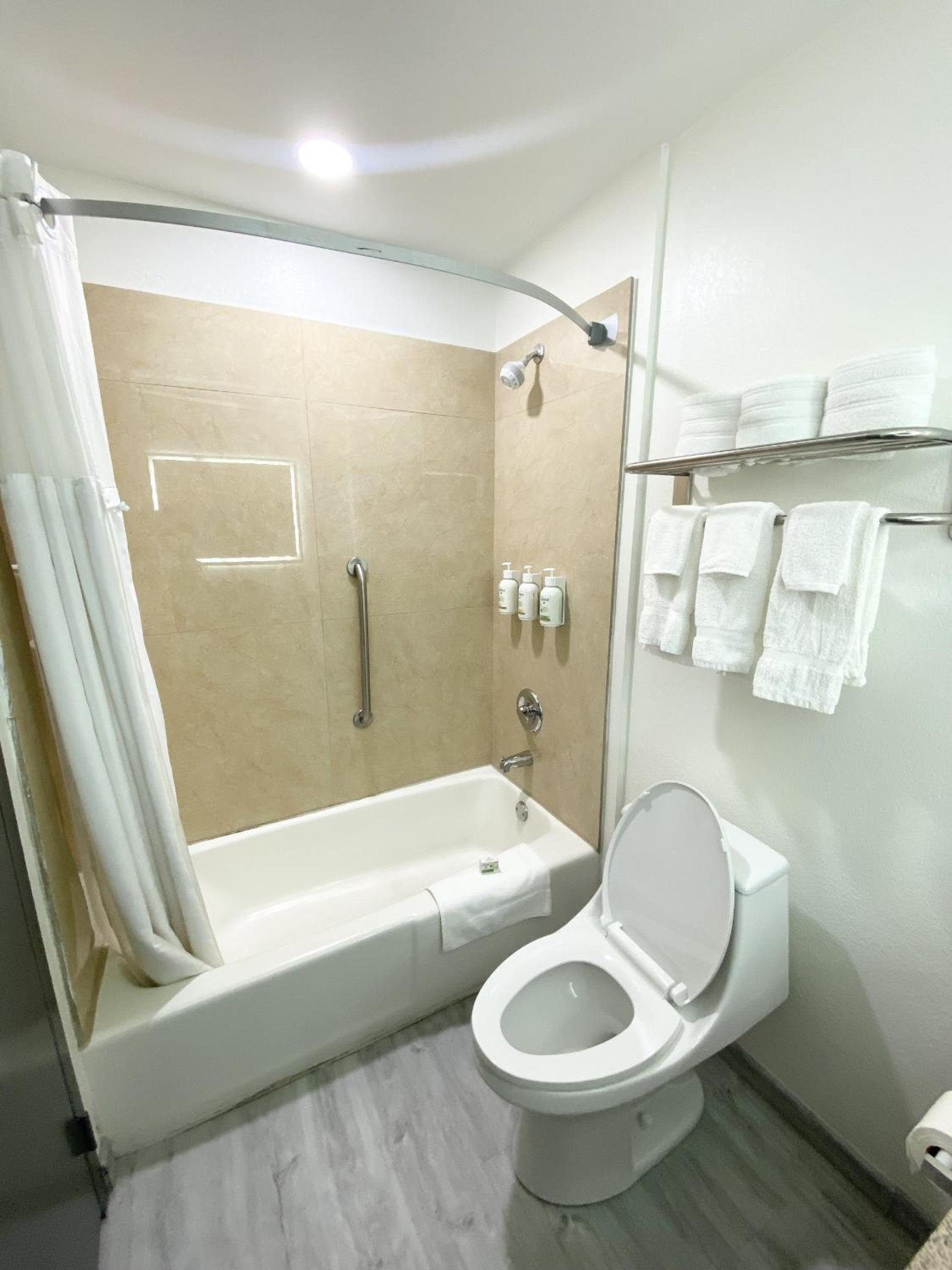 Junior King Suite - Non-Smoking - Photo 4